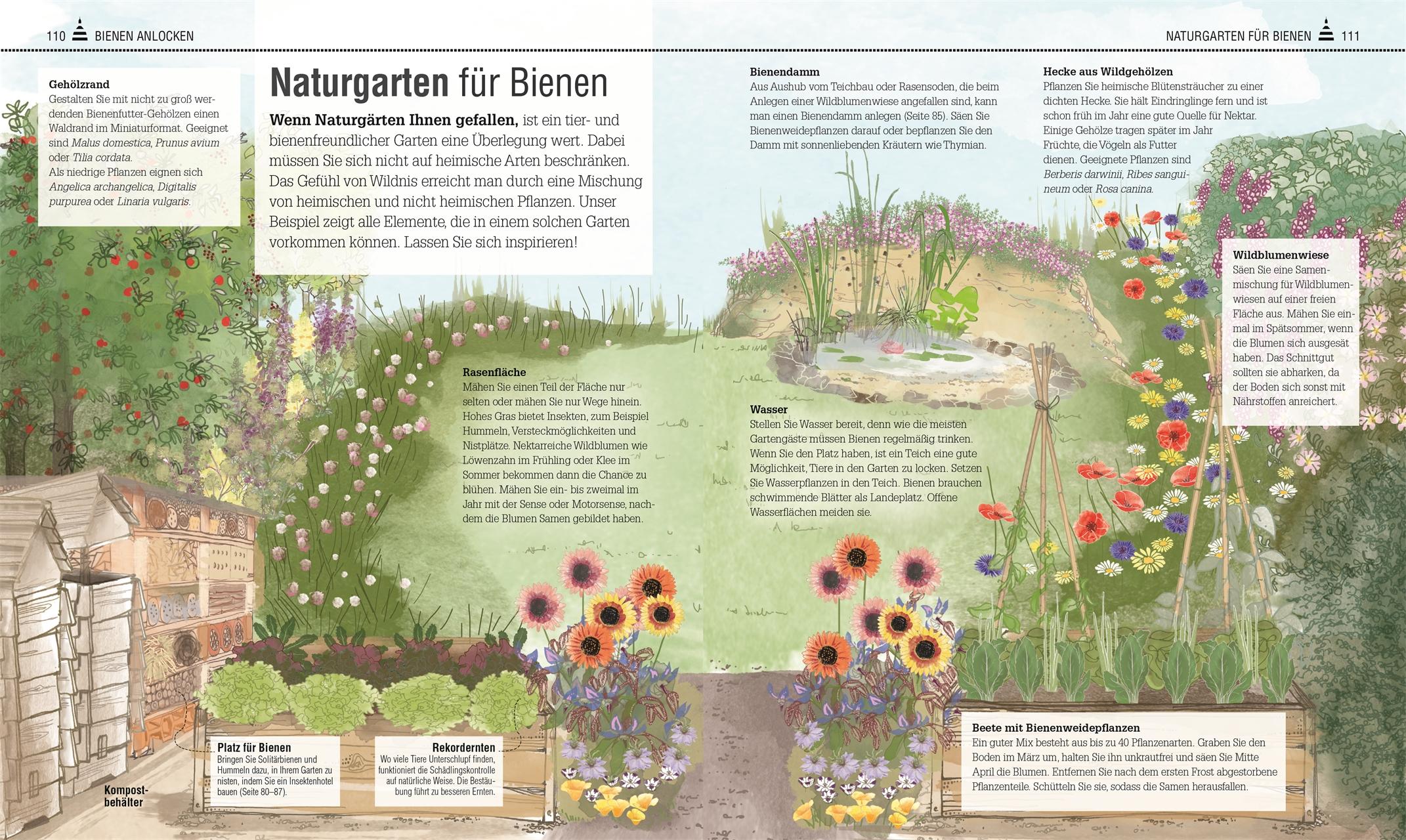 Beispielinhalt (Bild) Das Bienen Buch