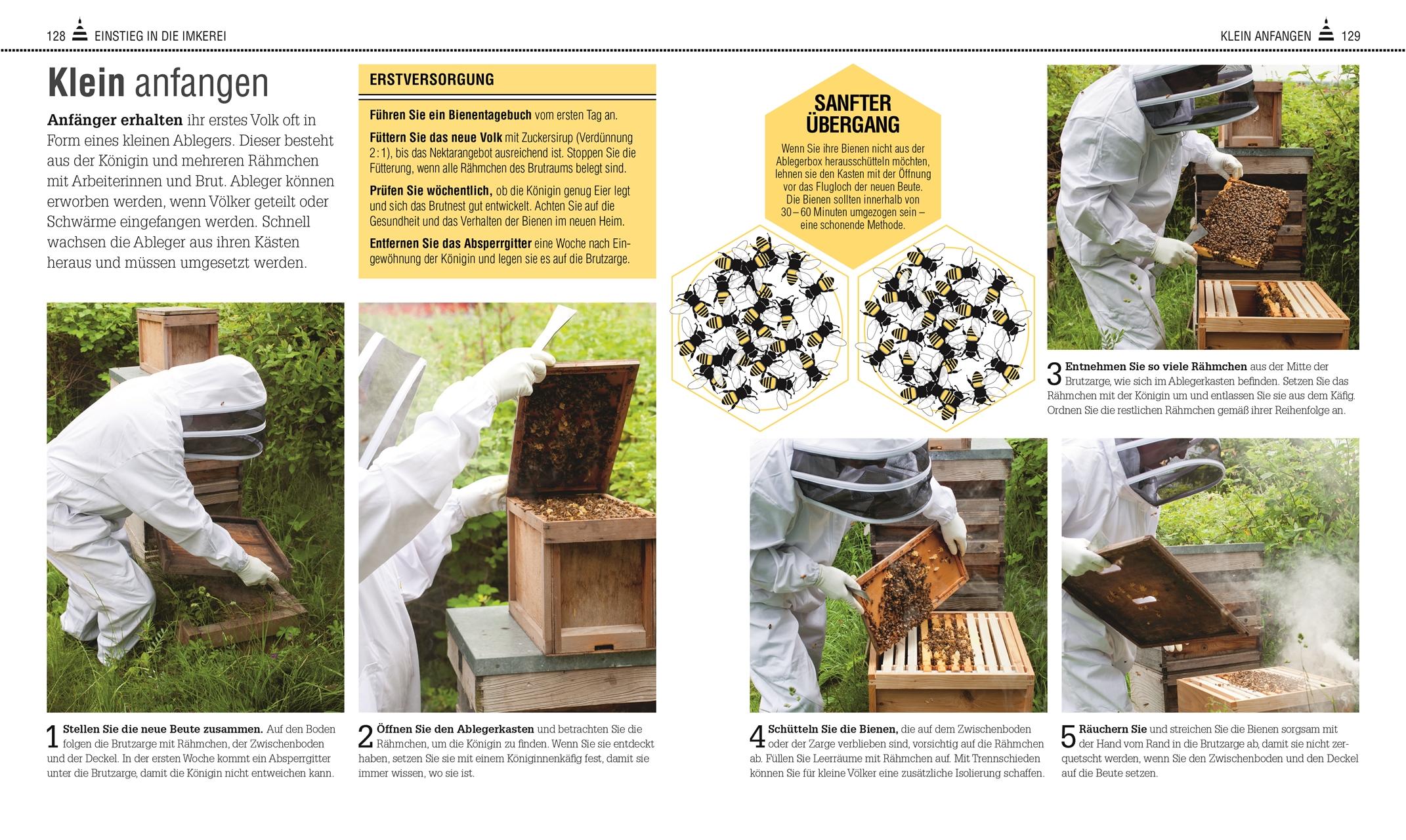 Beispielinhalt (Bild) Das Bienen Buch