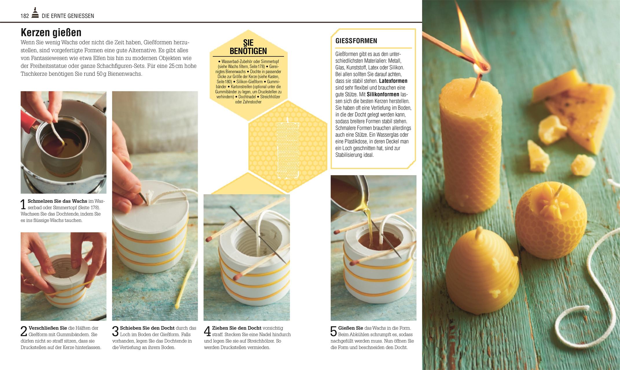 Beispielinhalt (Bild) Das Bienen Buch