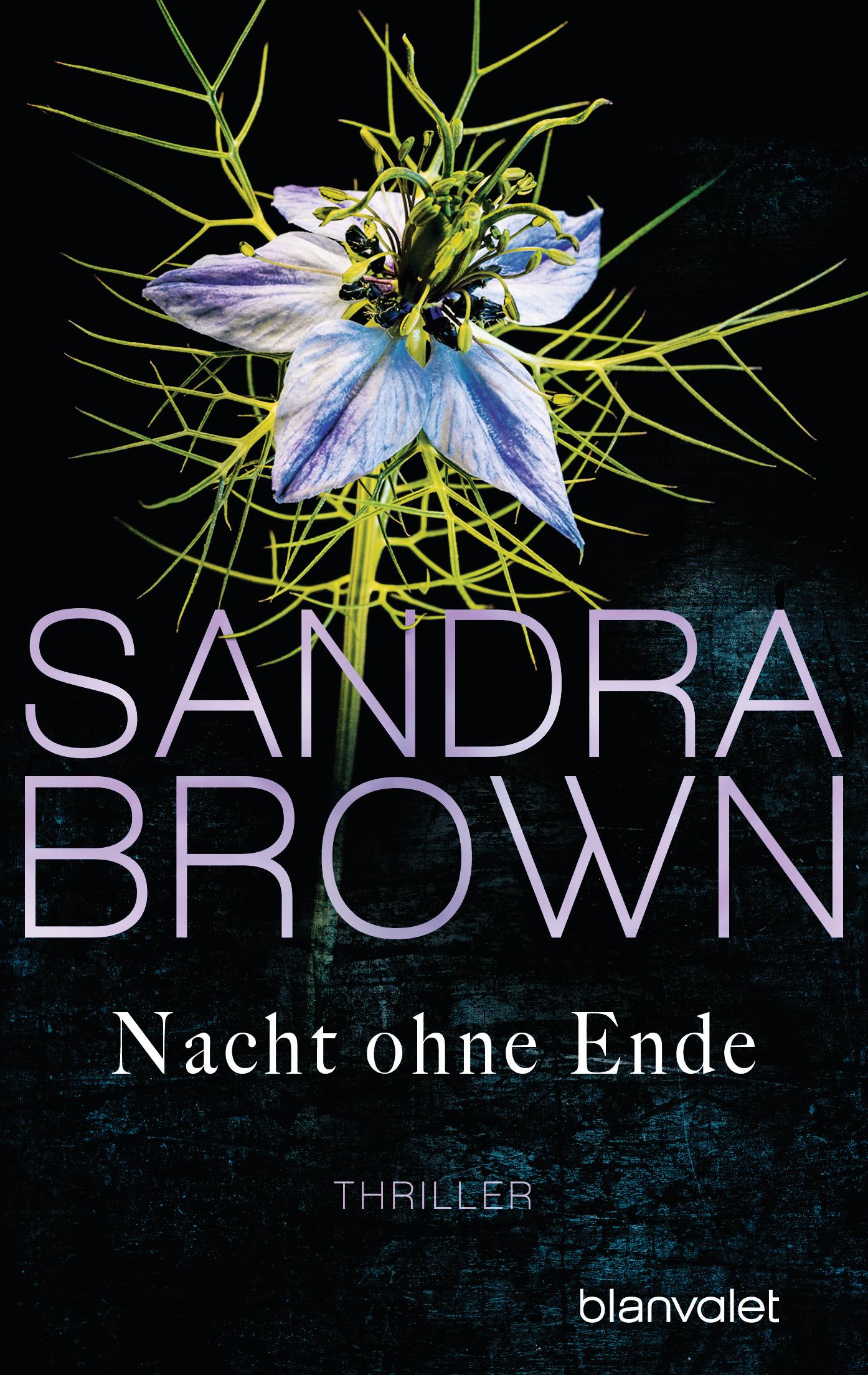 Vorderes Coverbild Nacht ohne Ende