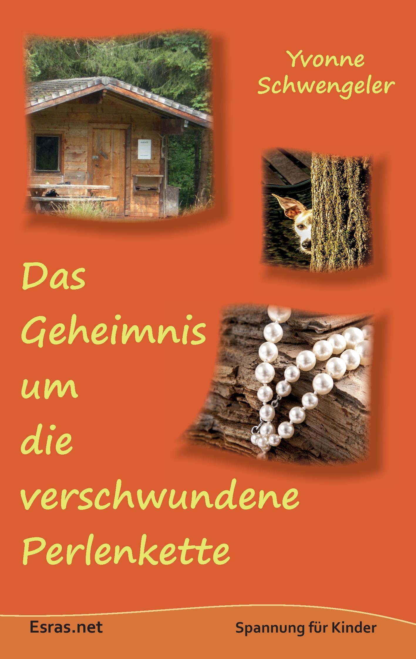 Vorderes Coverbild Das Geheimnis um die verschwundene Perlenkette