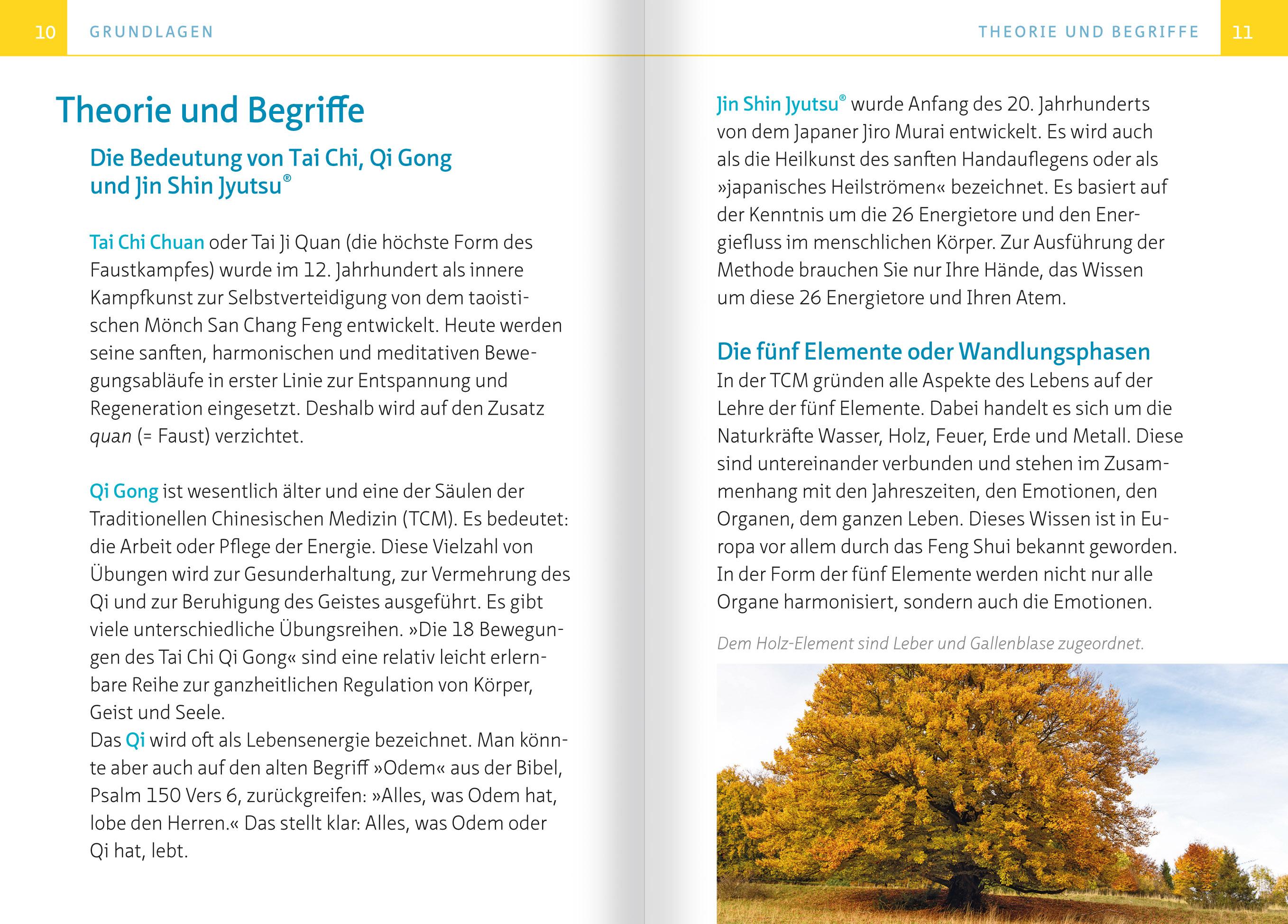 Beispielinhalt (Bild) Tai Chi für zwischendurch. Kompakt-Ratgeber