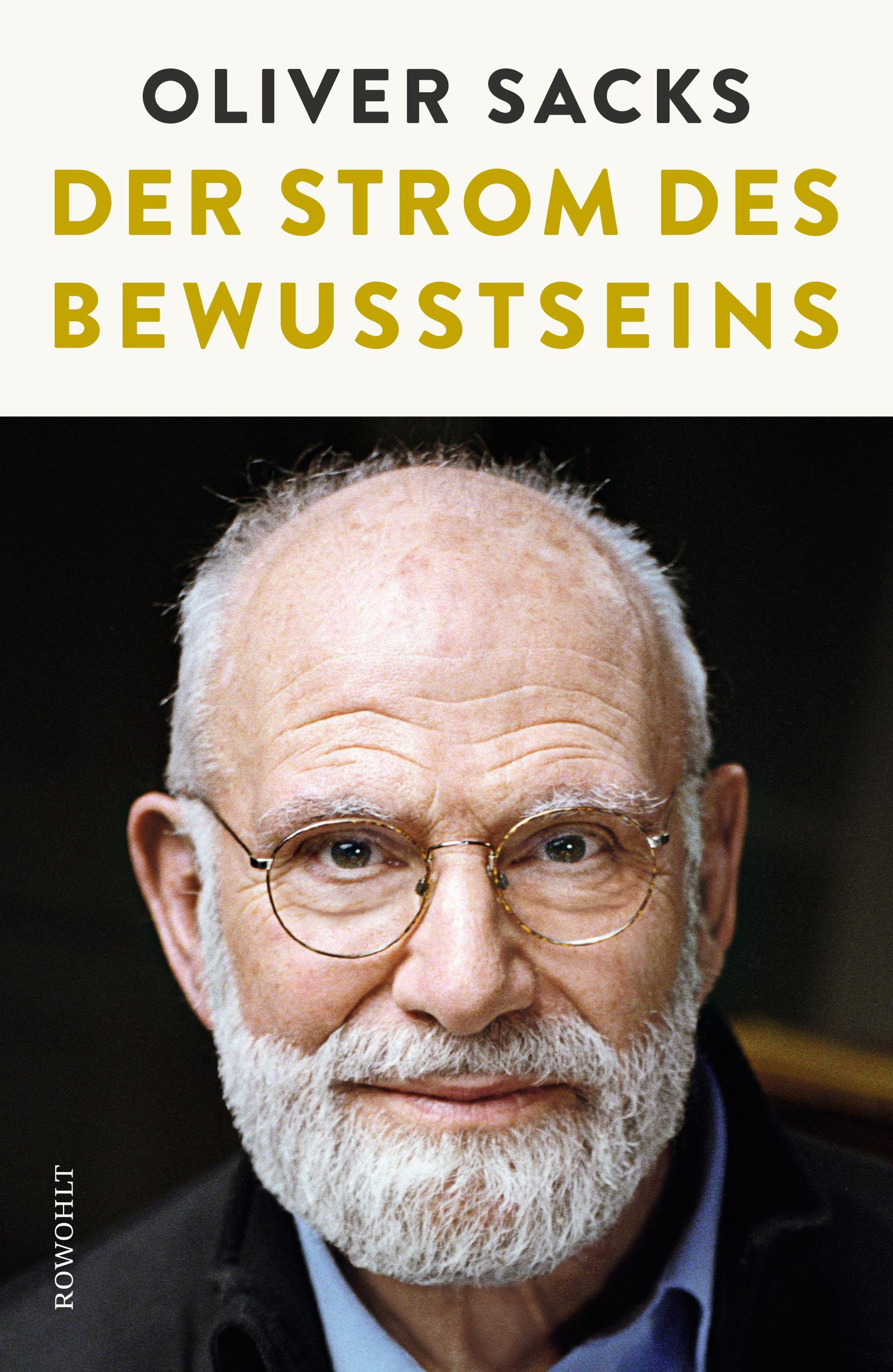 Vorderes Coverbild Der Strom des Bewusstseins