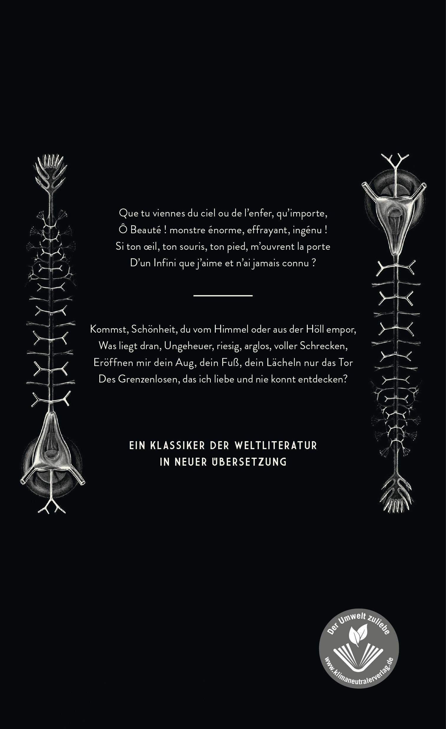 Rückseitencover Les Fleurs du Mal - Die Blumen des Bösen