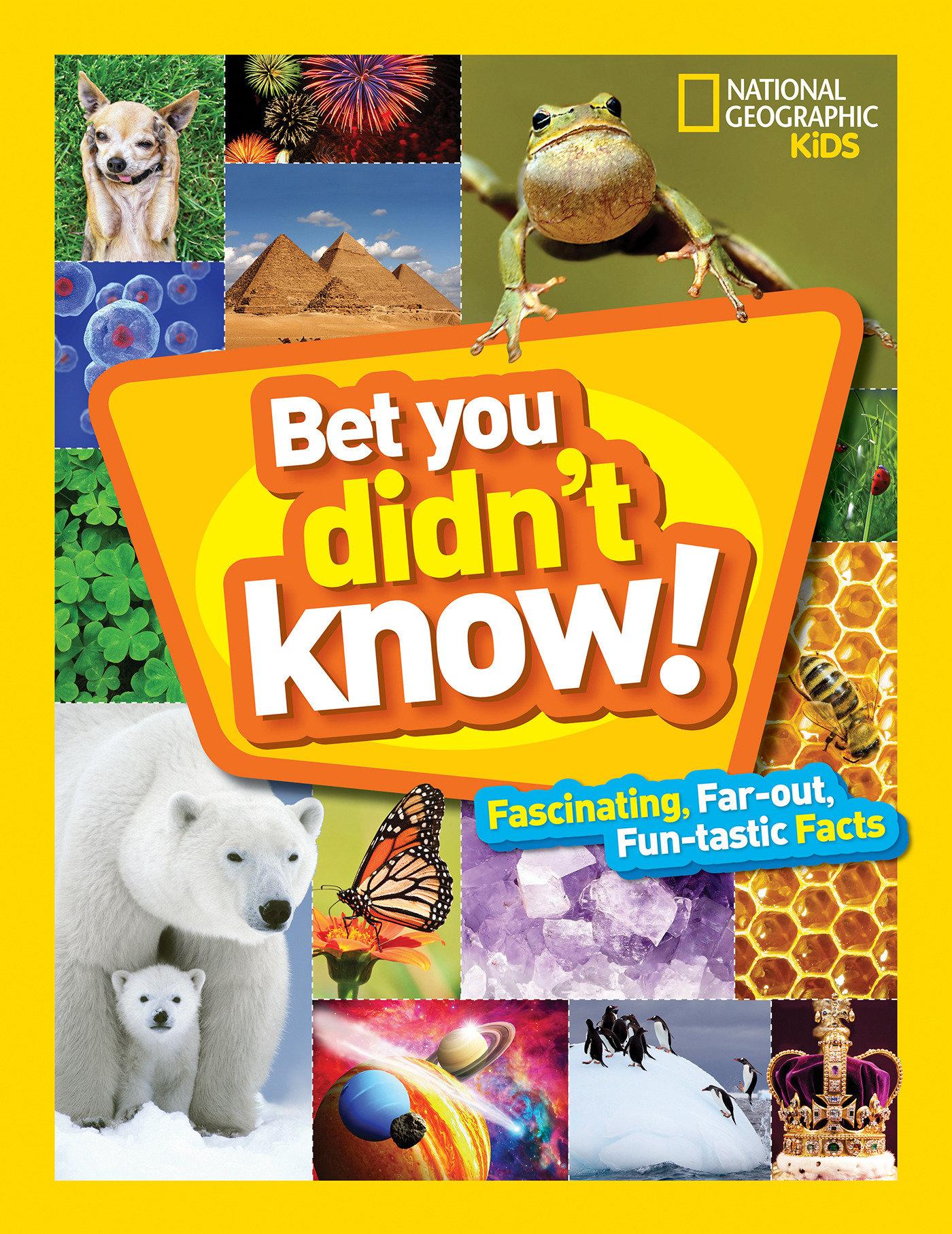 Vorderes Coverbild Bet You Didn't Know