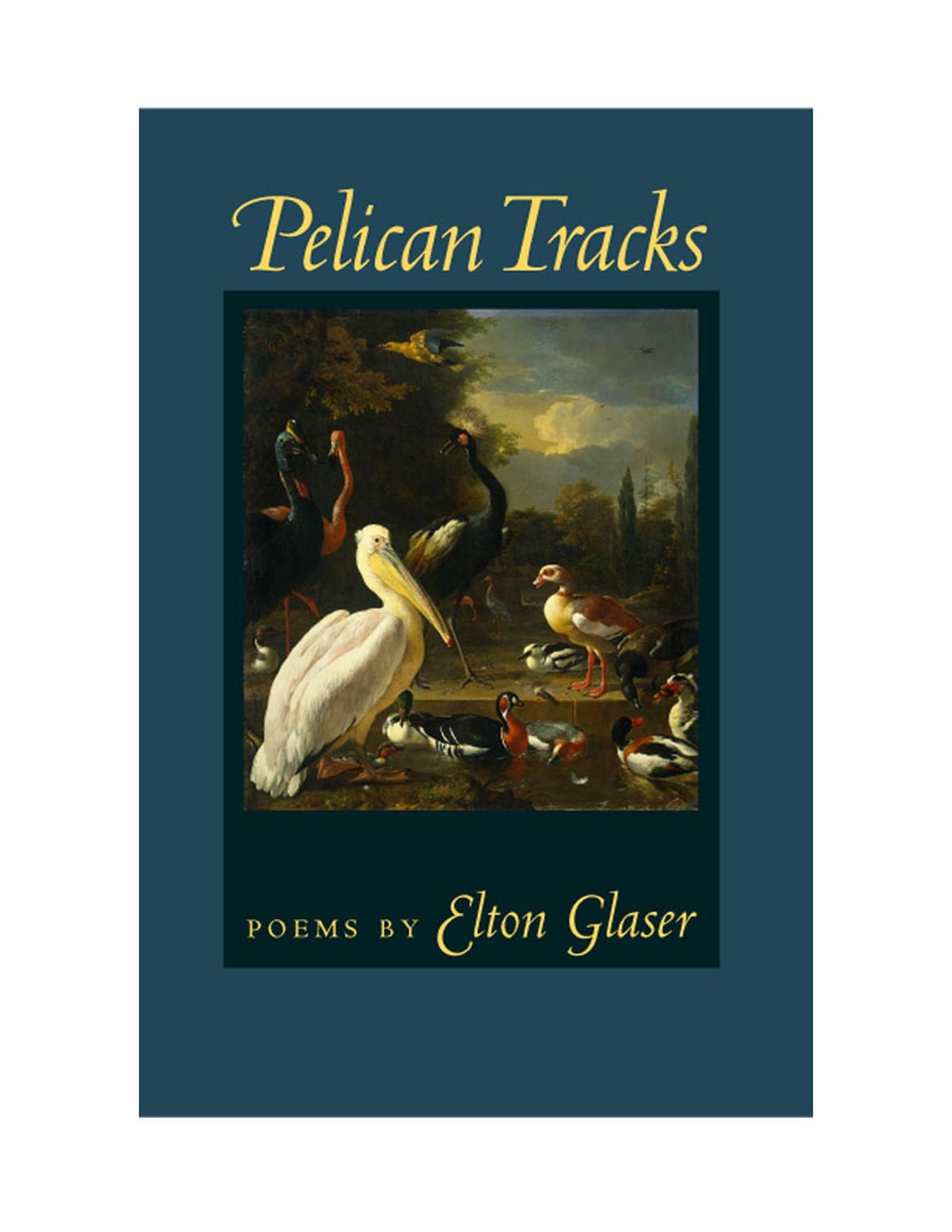 Vorderes Coverbild Pelican Tracks