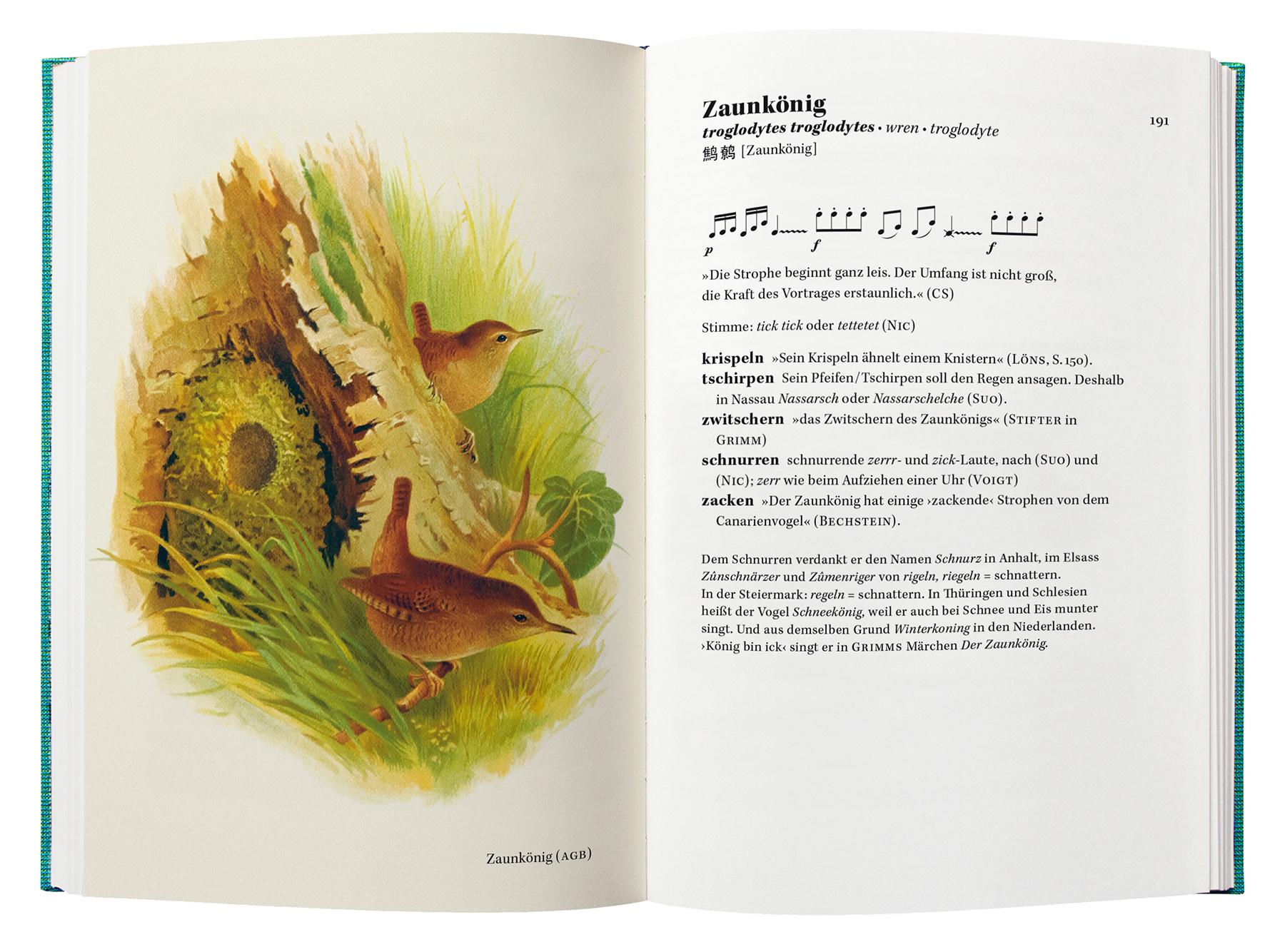 Beispielinhalt (Bild) Singt der Vogel, ruft er oder schlägt er?