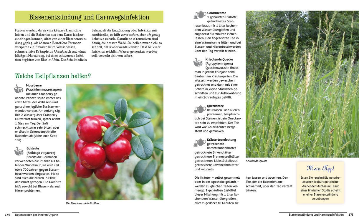 Beispielinhalt (Bild) Die Natur-Apotheke