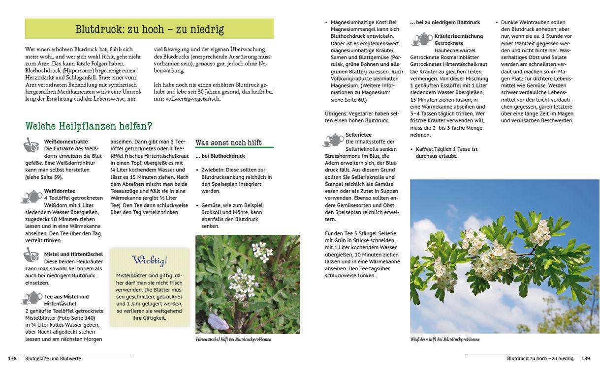 Beispielinhalt (Bild) Die Natur-Apotheke