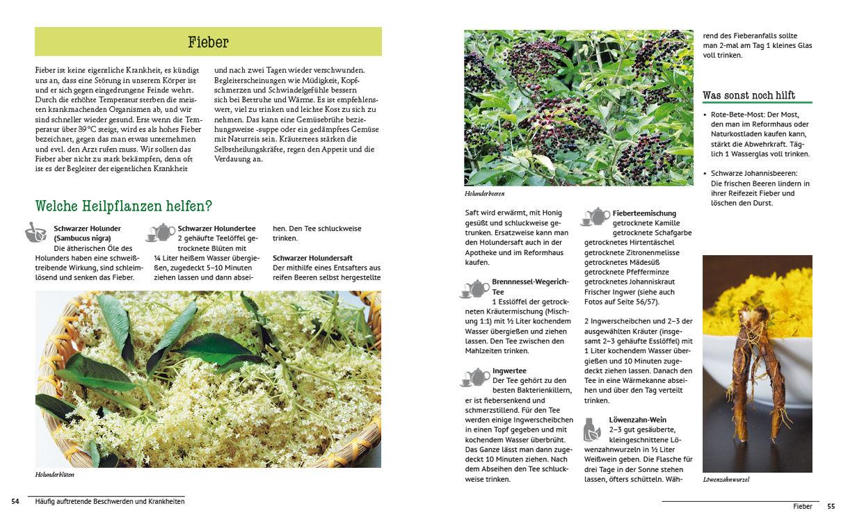 Beispielinhalt (Bild) Die Natur-Apotheke