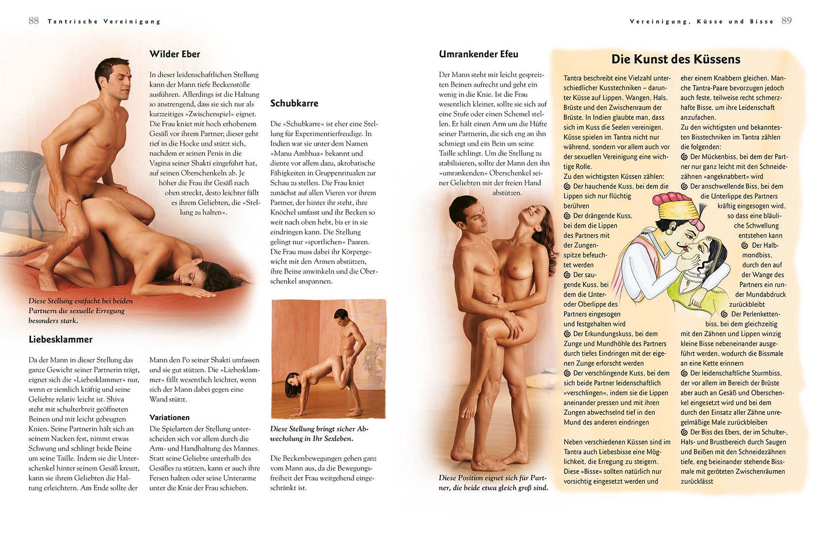Beispielinhalt (Bild) Tantra