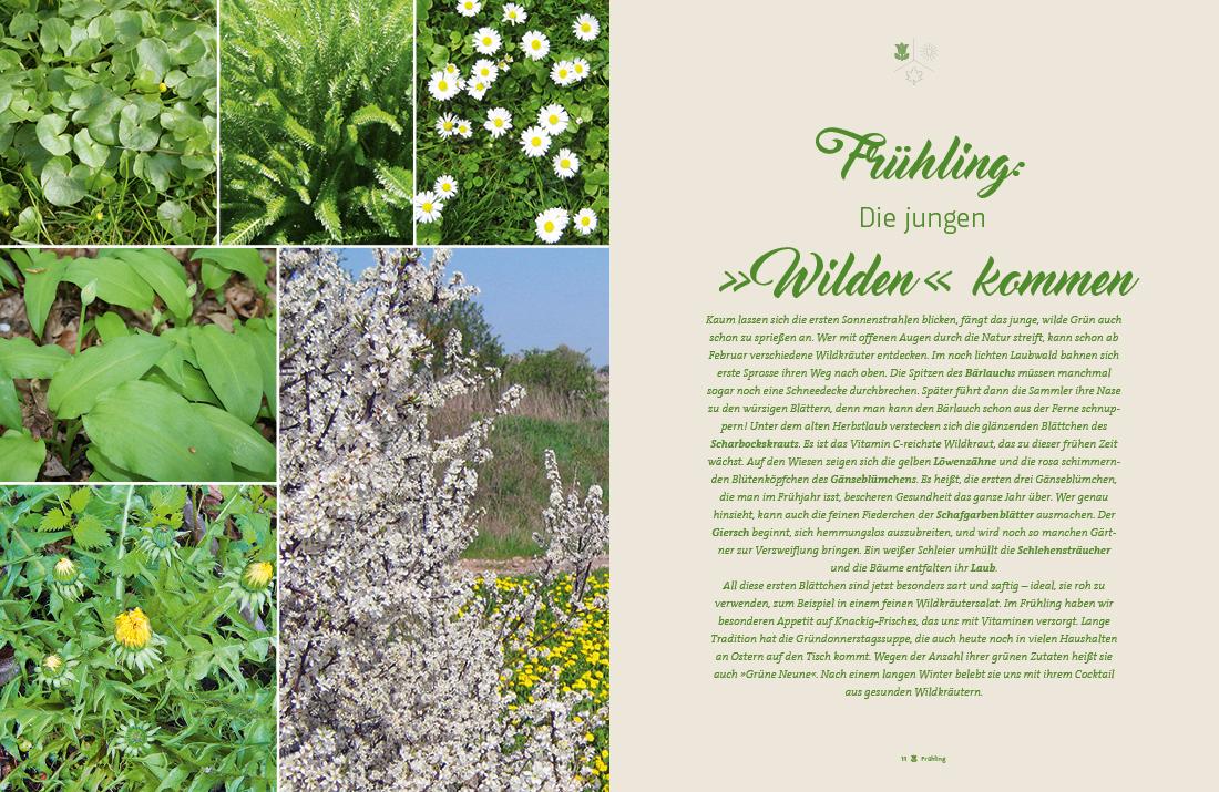 Beispielinhalt (Bild) Fränkisch kochen mit wilden Kräutern