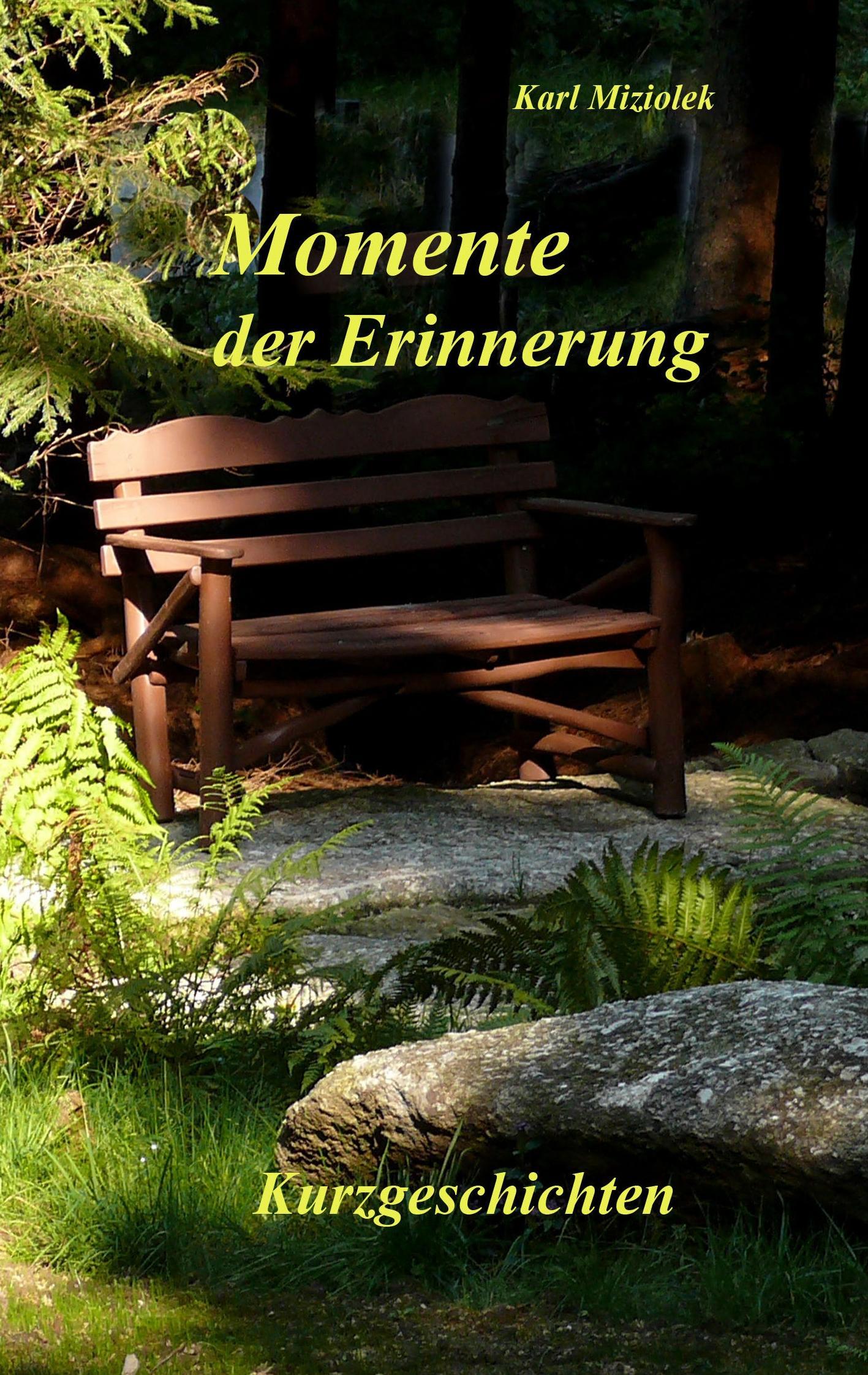Vorderes Coverbild Momente der Erinnerung