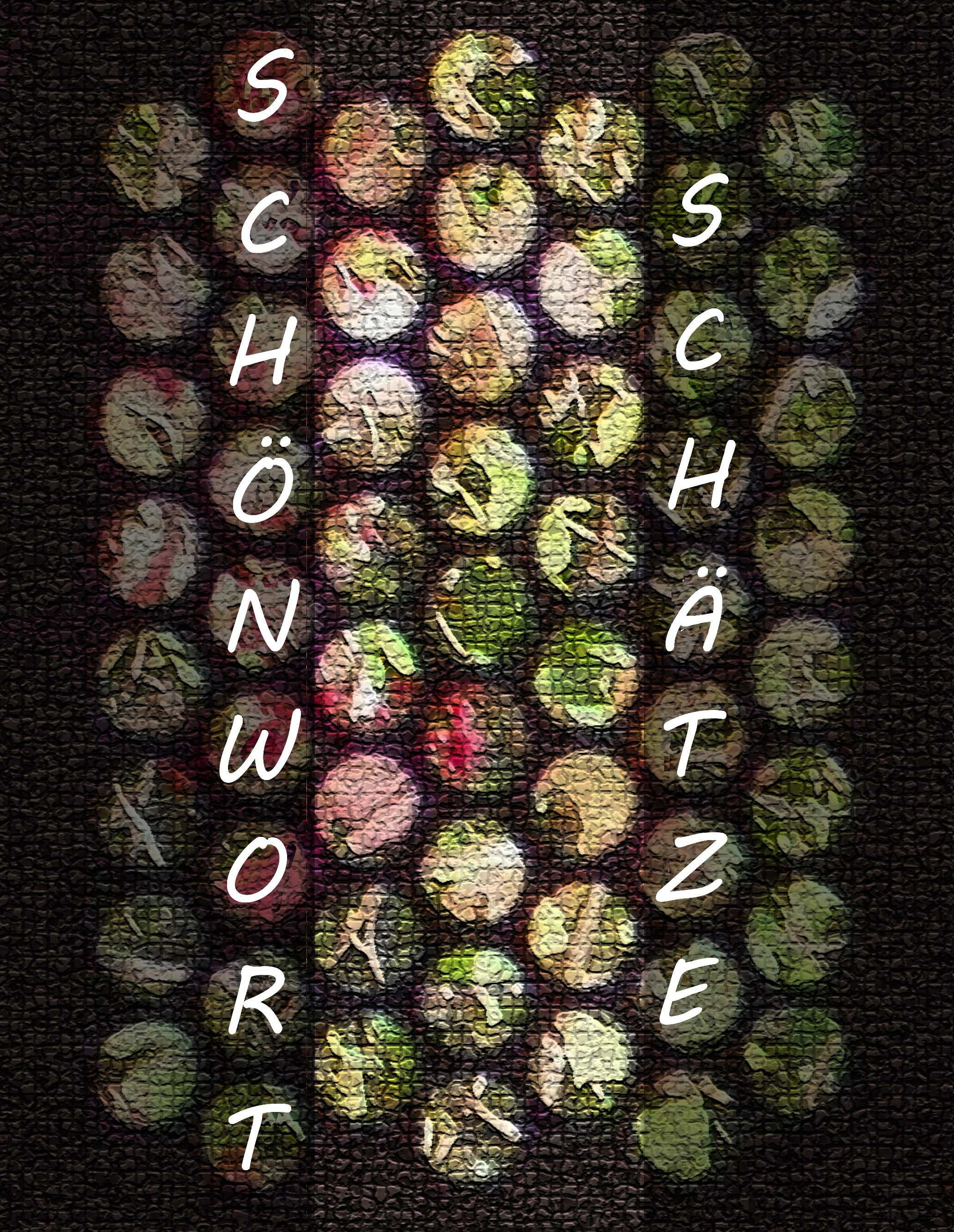 Vorderes Coverbild SchönwortSchätze