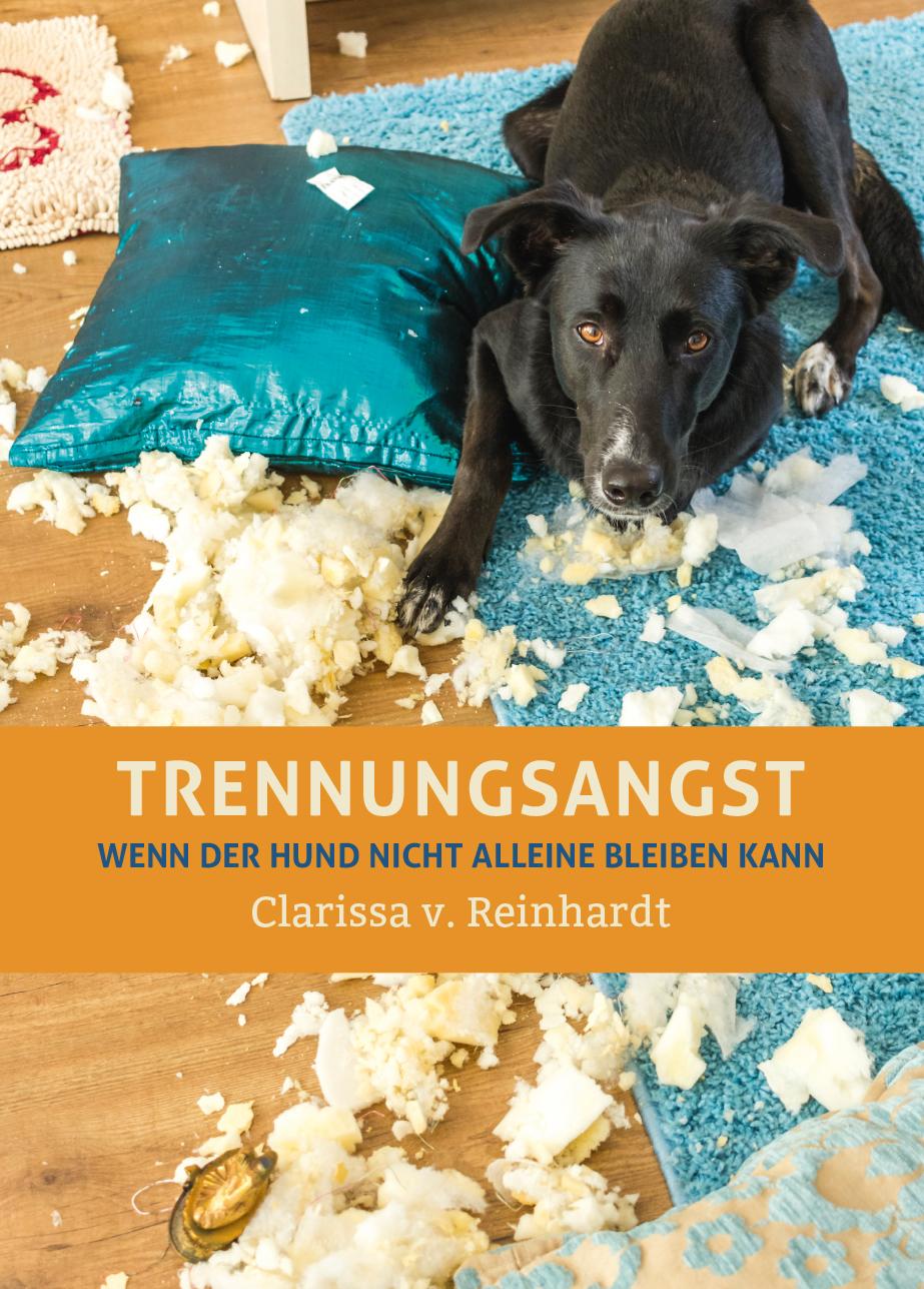 Vorderes Coverbild Trennungsangst