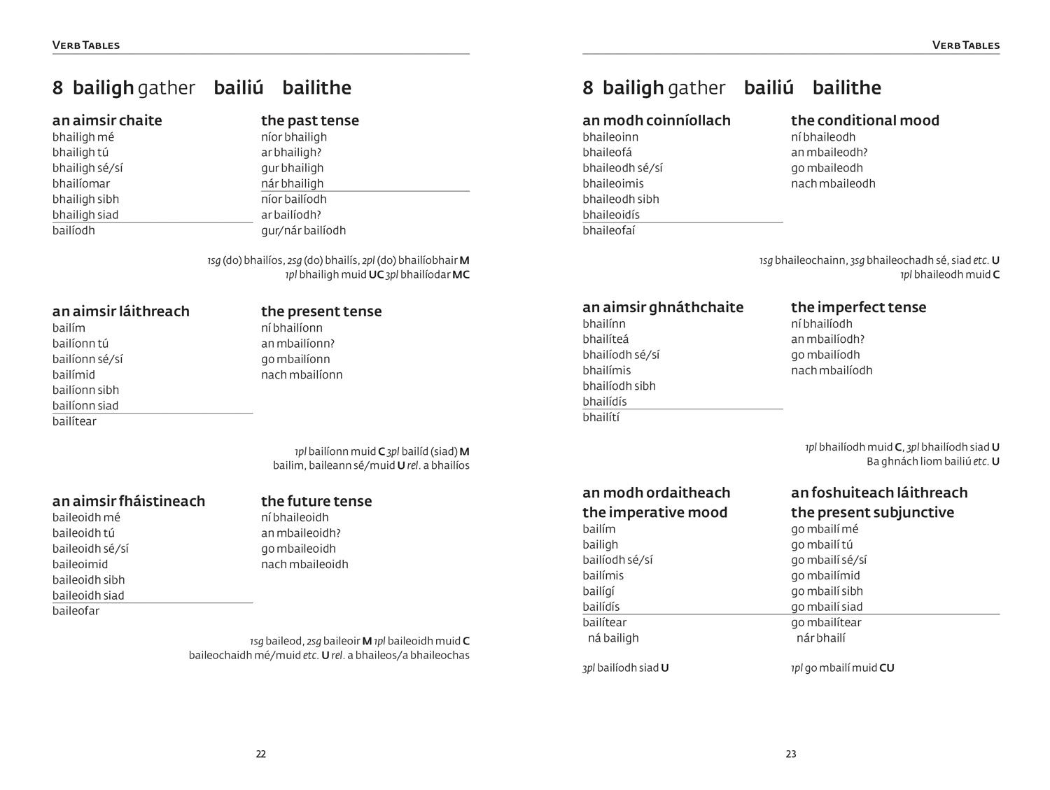Beispielinhalt (Bild) Irish Verbs