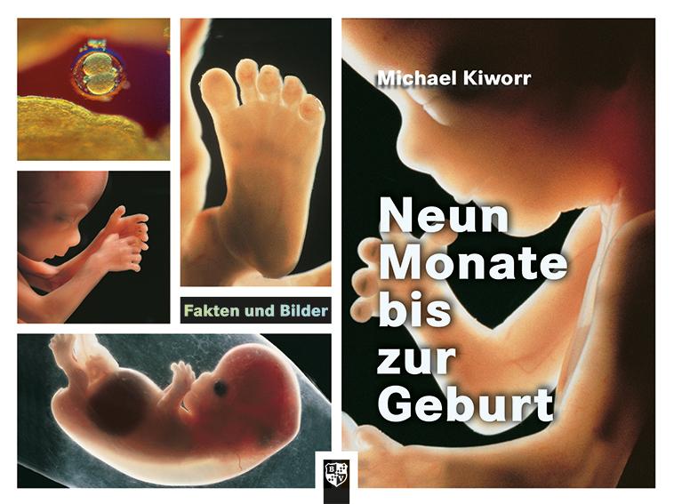 Vorderes Coverbild Neun Monate bis zur Geburt
