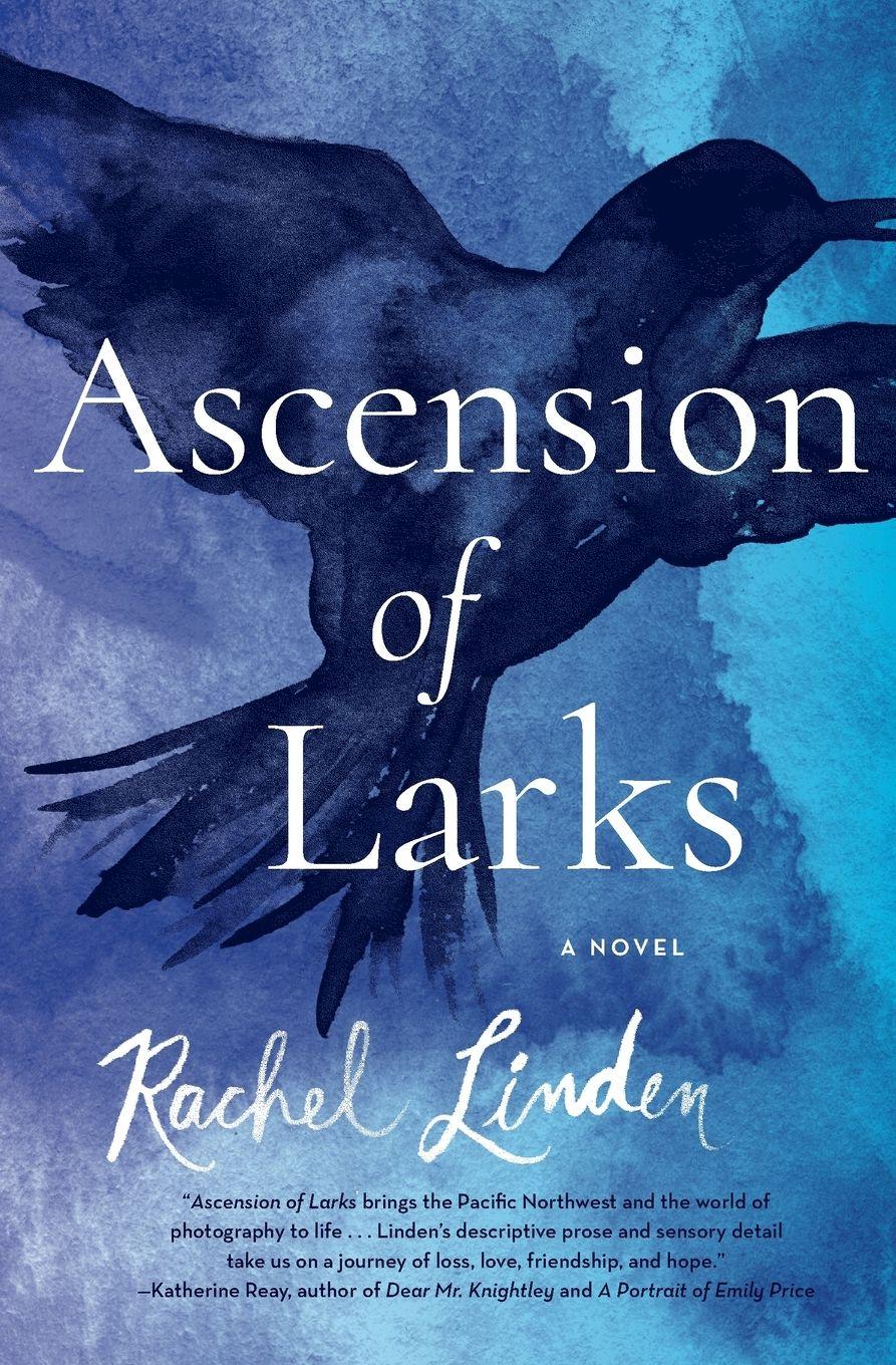Vorderes Coverbild Ascension of Larks