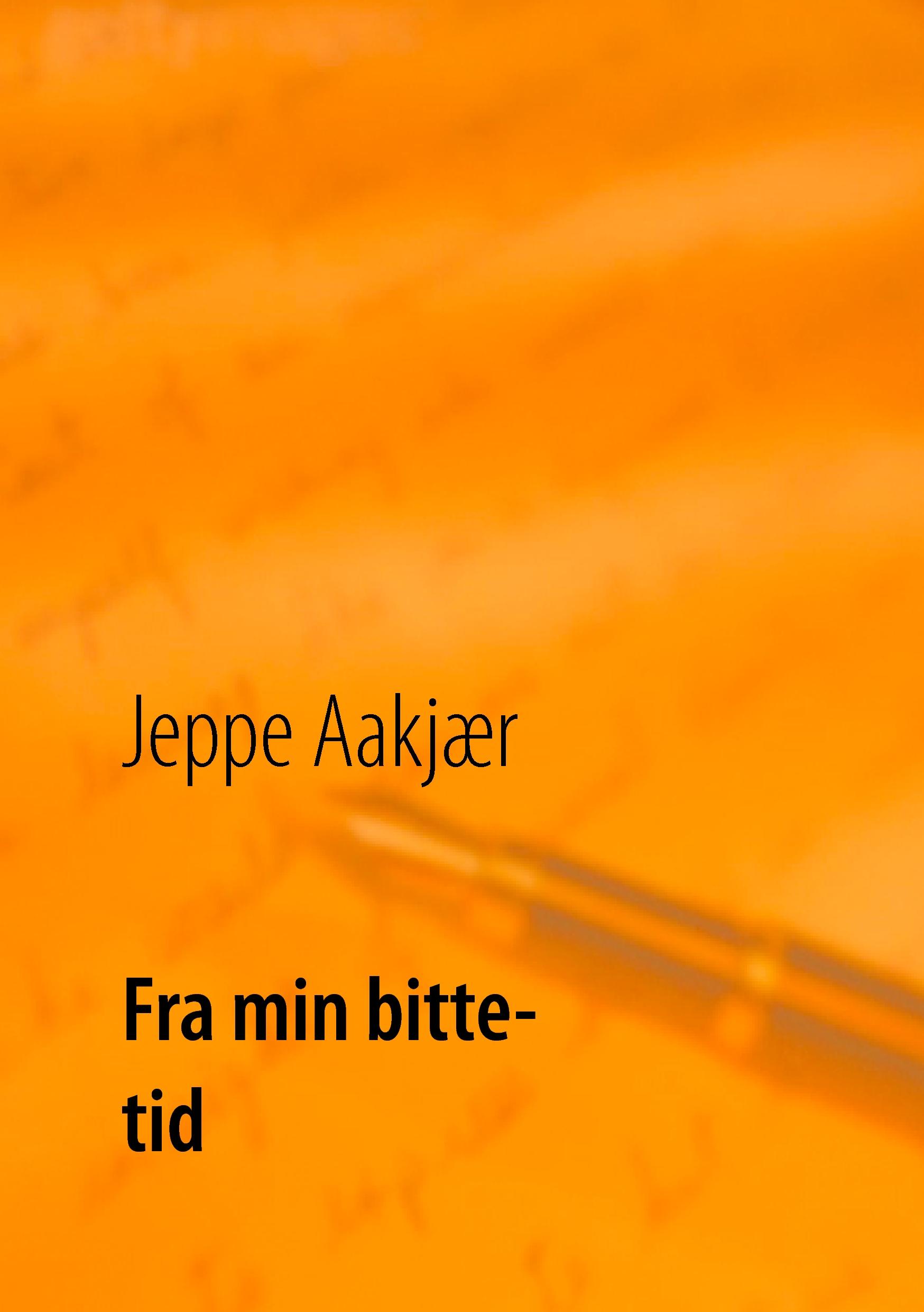 Vorderes Coverbild Fra min bitte tid