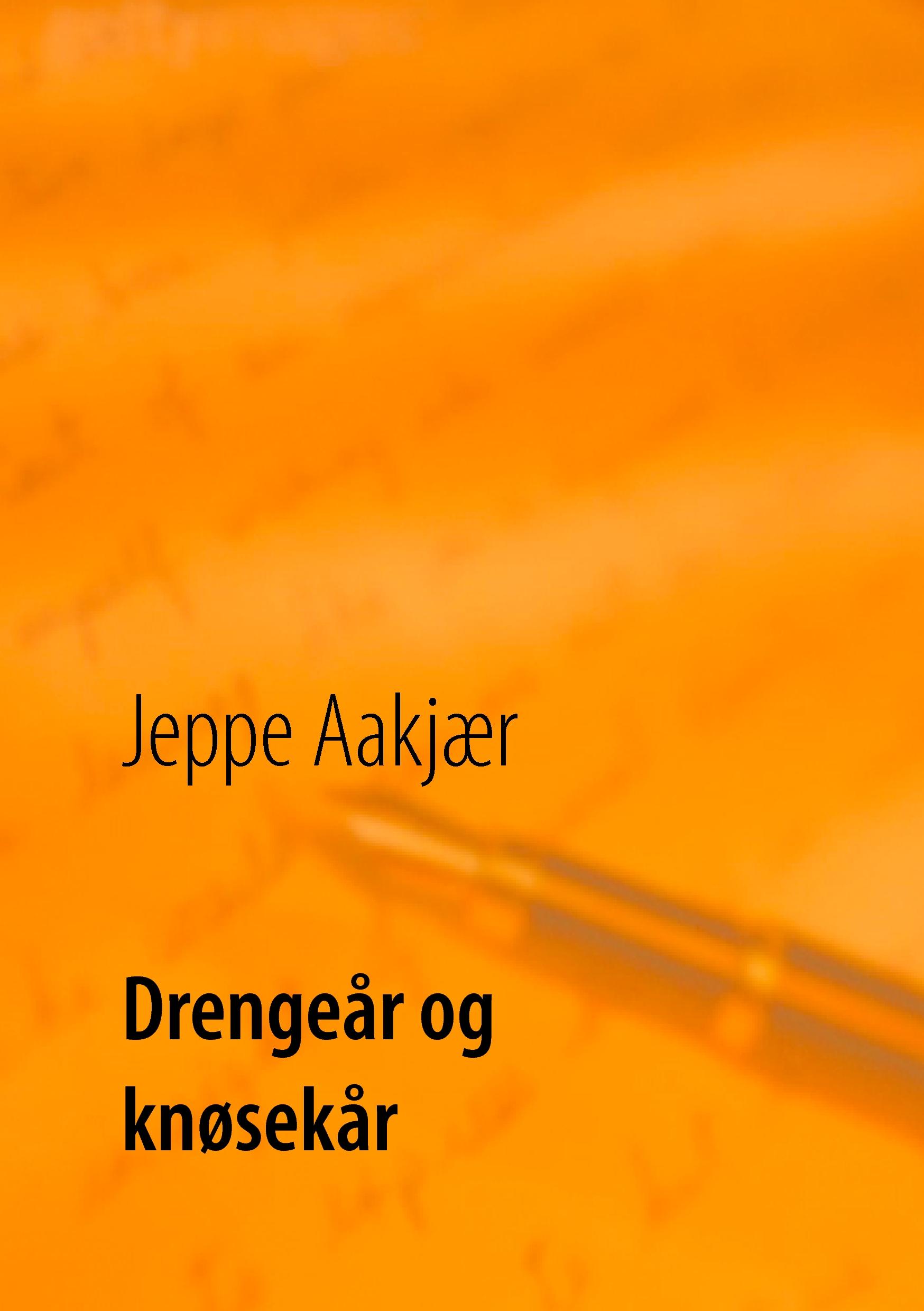 Vorderes Coverbild Drengeår og knøsekår
