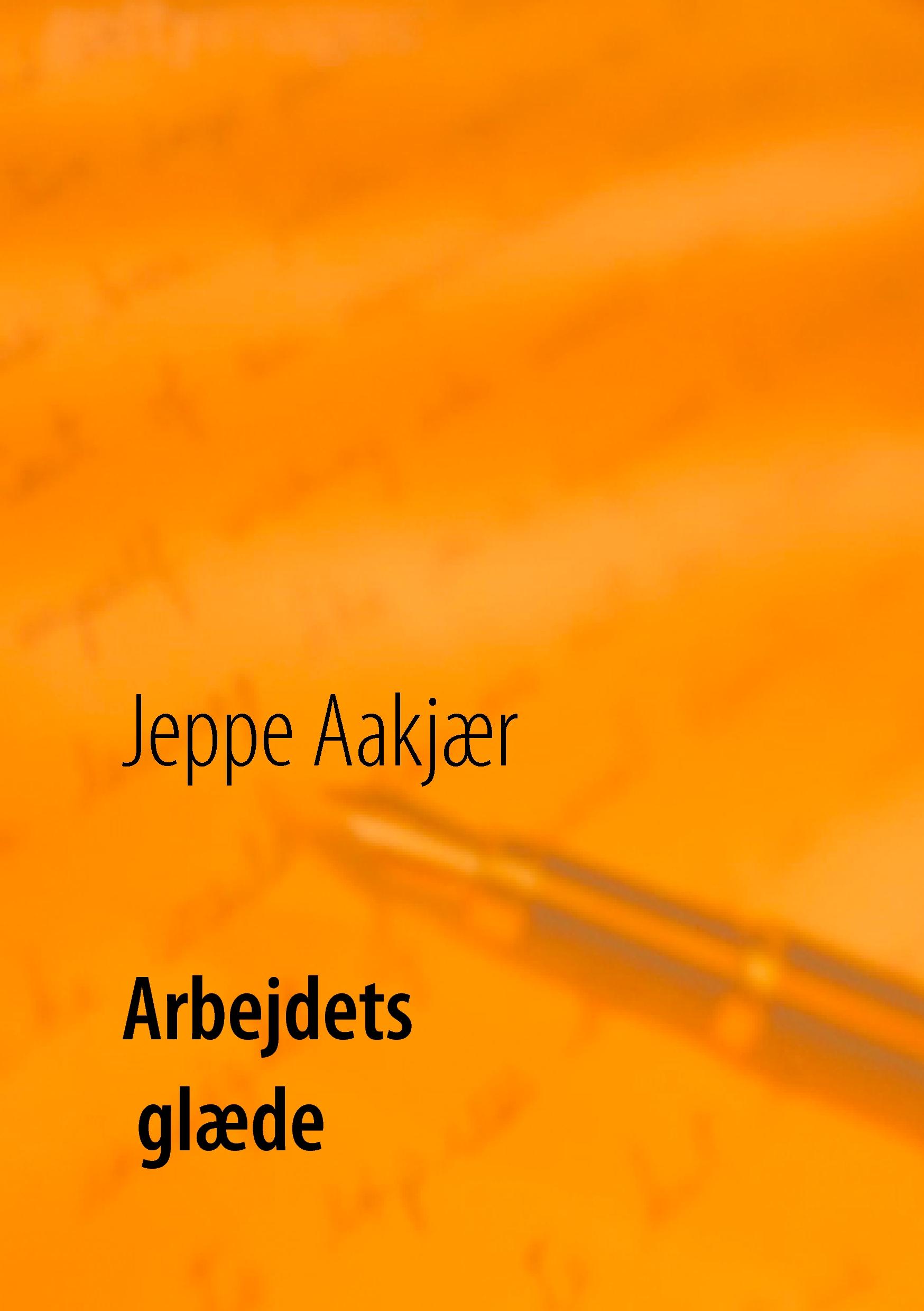 Vorderes Coverbild Arbejdets glæde