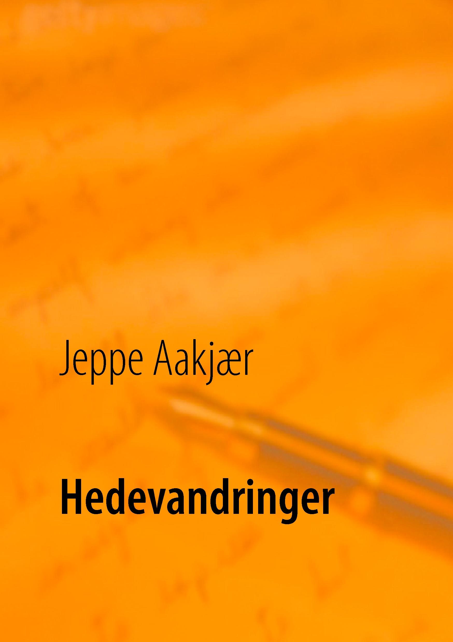 Vorderes Coverbild Hedevandringer