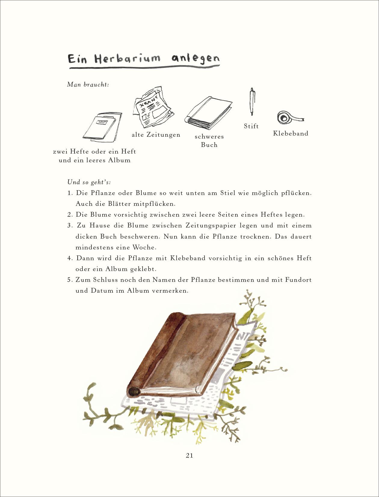 Beispielinhalt (Bild) Handbuch für Pflücker und Sammler