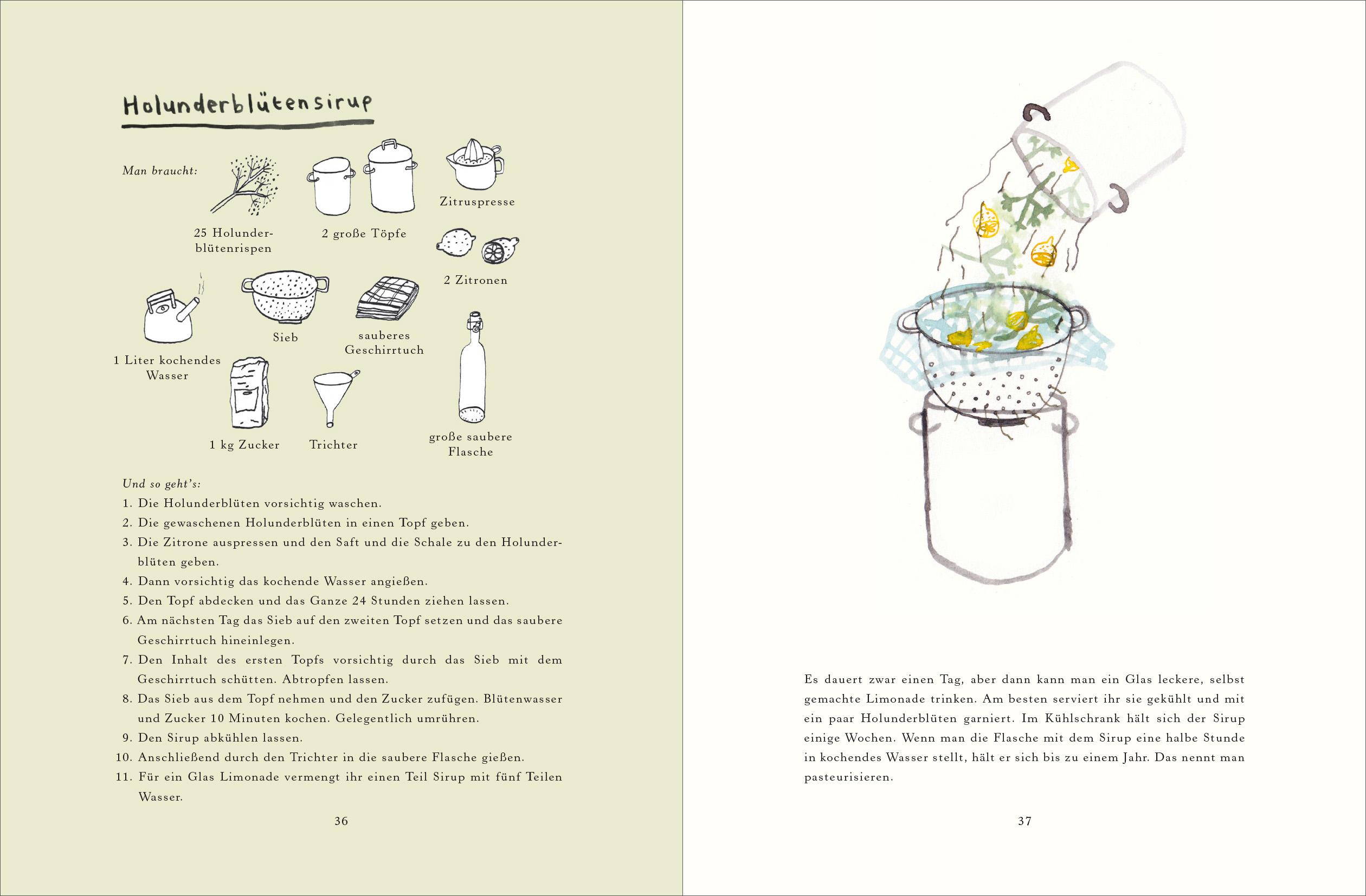 Beispielinhalt (Bild) Handbuch für Pflücker und Sammler
