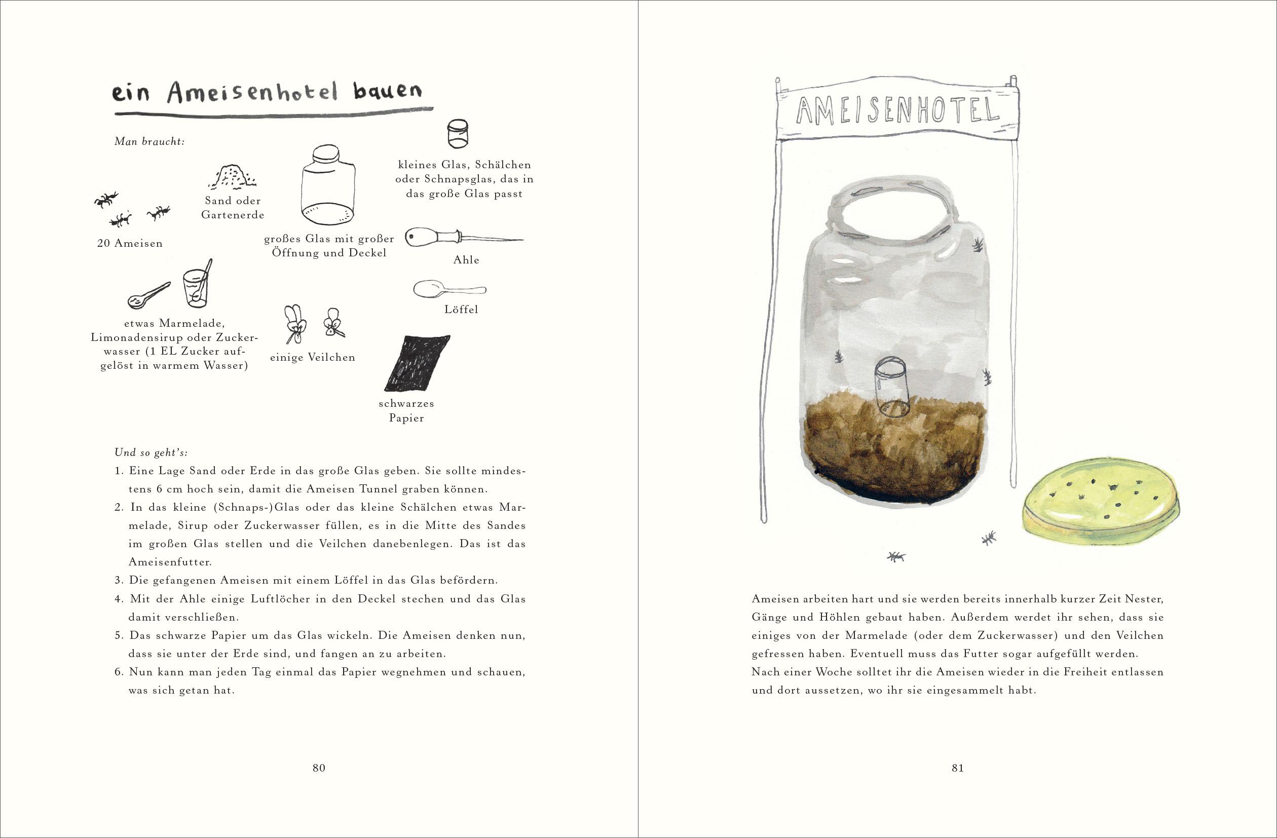 Beispielinhalt (Bild) Handbuch für Pflücker und Sammler