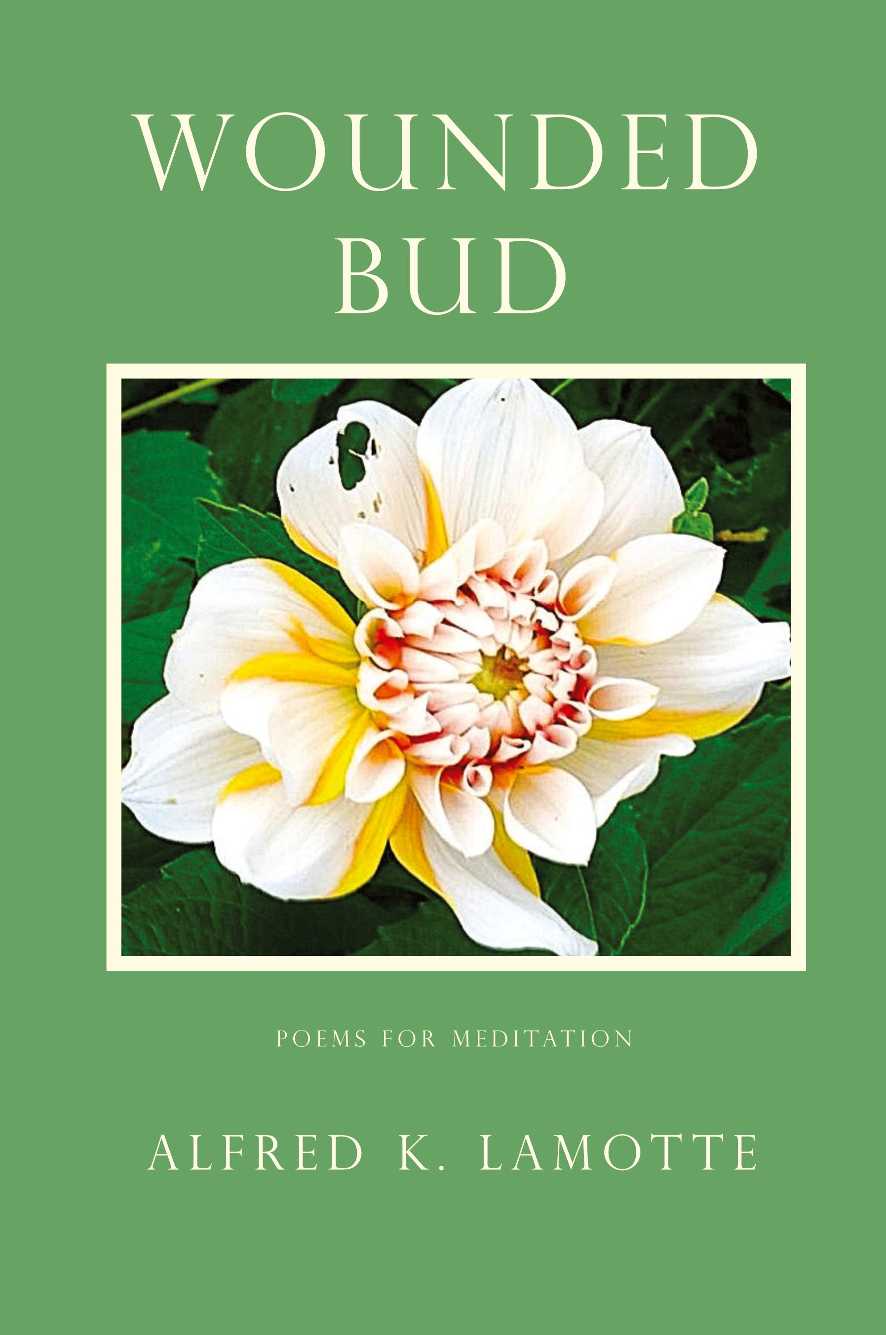 Vorderes Coverbild WOUNDED BUD