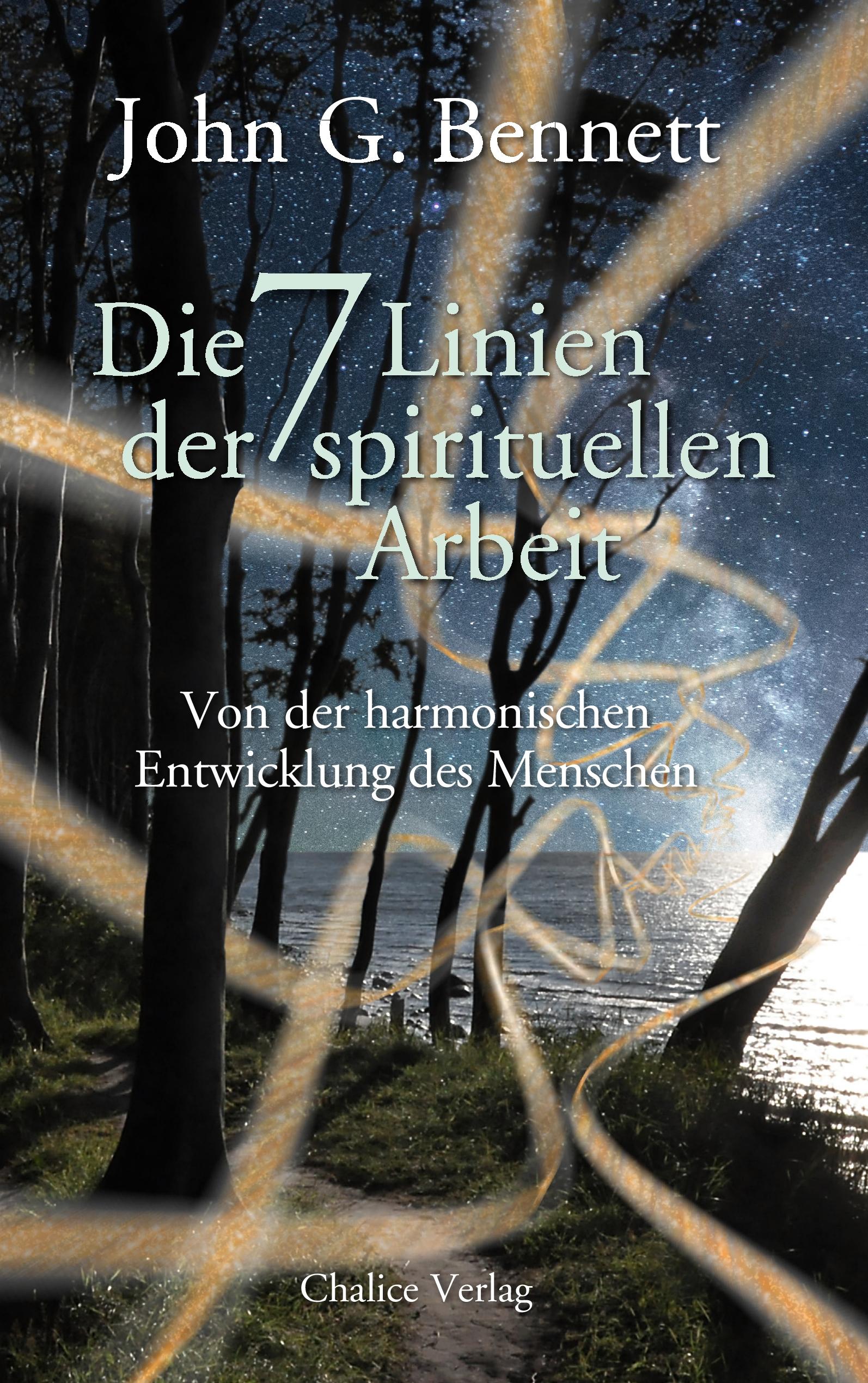 Vorderes Coverbild Die sieben Linien der spirituellen Arbeit