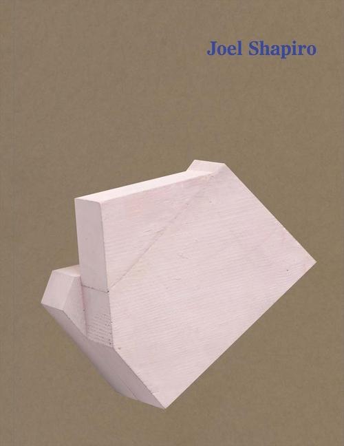 Vorderes Coverbild Joel Shapiro