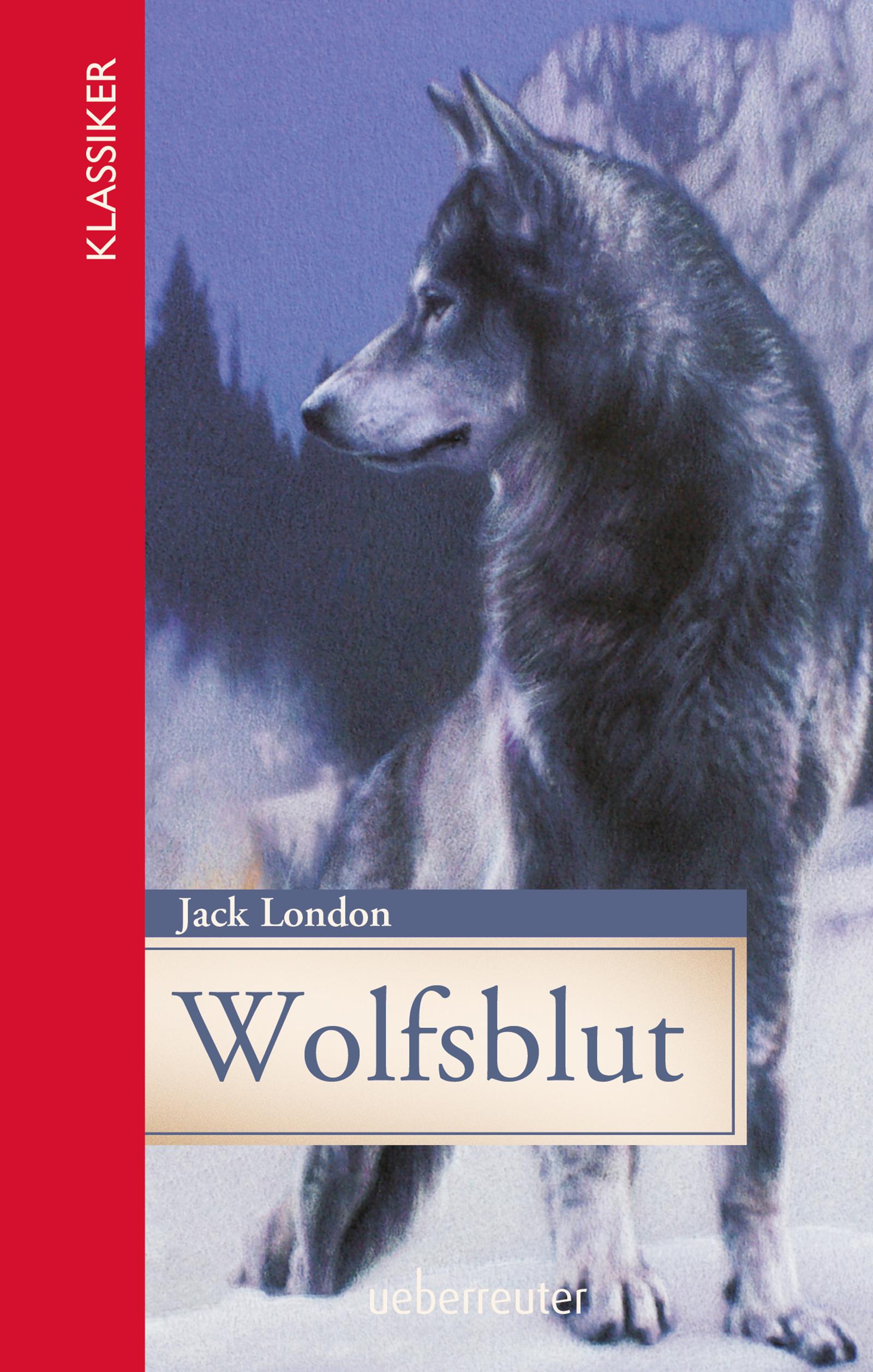 Vorderes Coverbild Wolfsblut