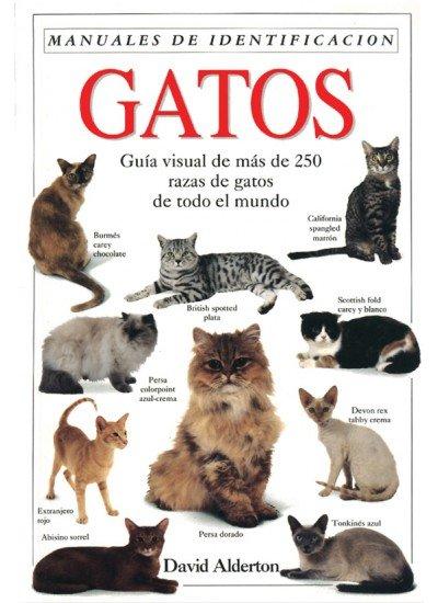 Vorderes Coverbild Gatos : una guía visual