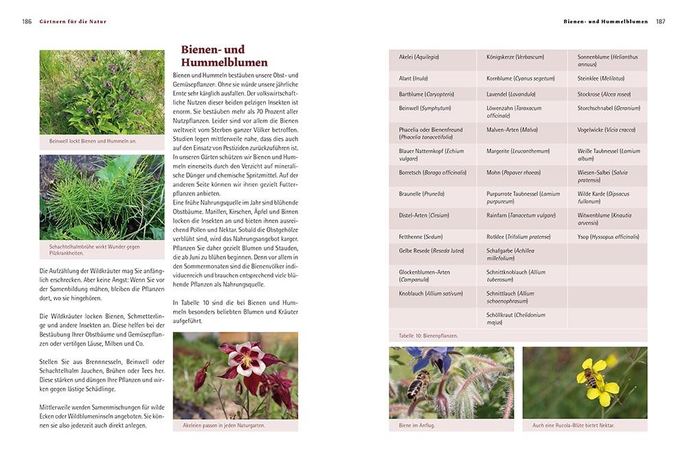 Beispielinhalt (Bild) Biogärten gestalten