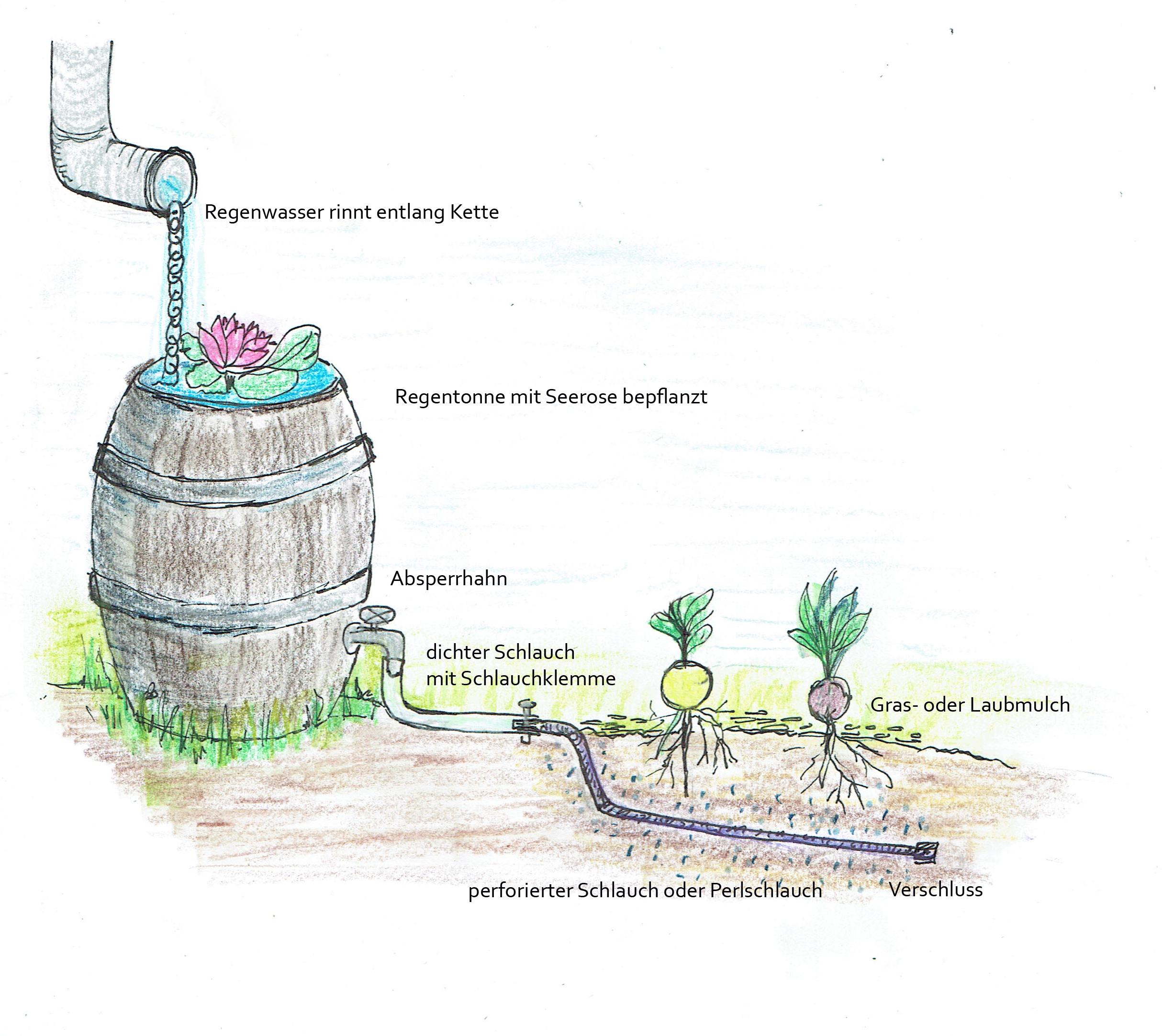 Beispielinhalt (Bild) Handbuch Wasser im Garten
