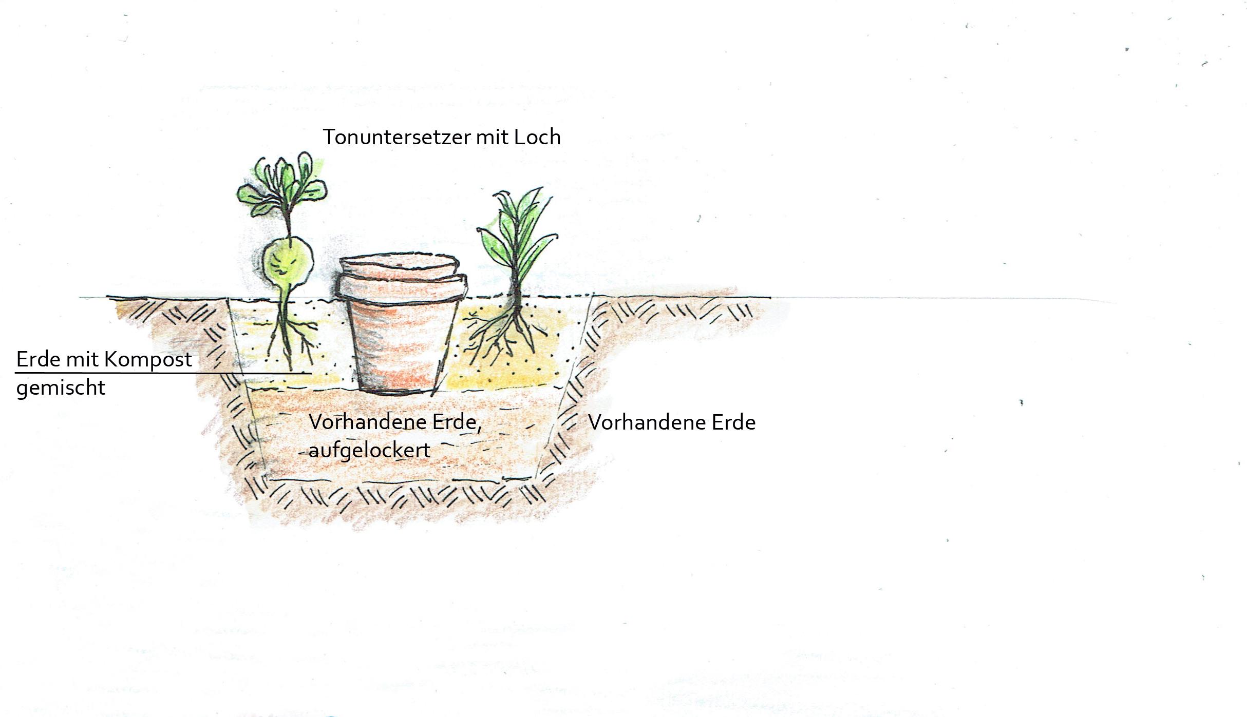 Beispielinhalt (Bild) Handbuch Wasser im Garten