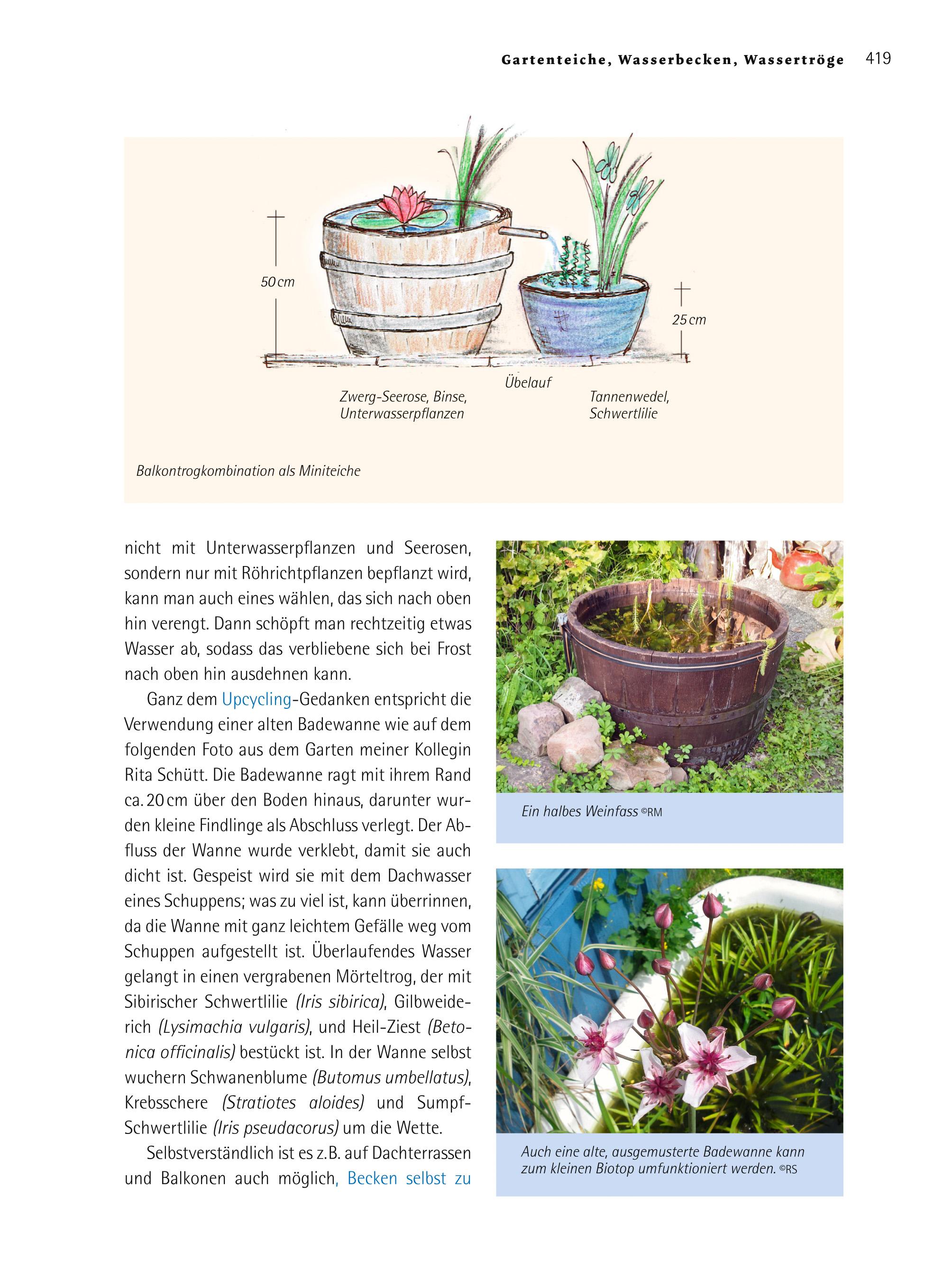 Beispielinhalt (Bild) Handbuch Wasser im Garten