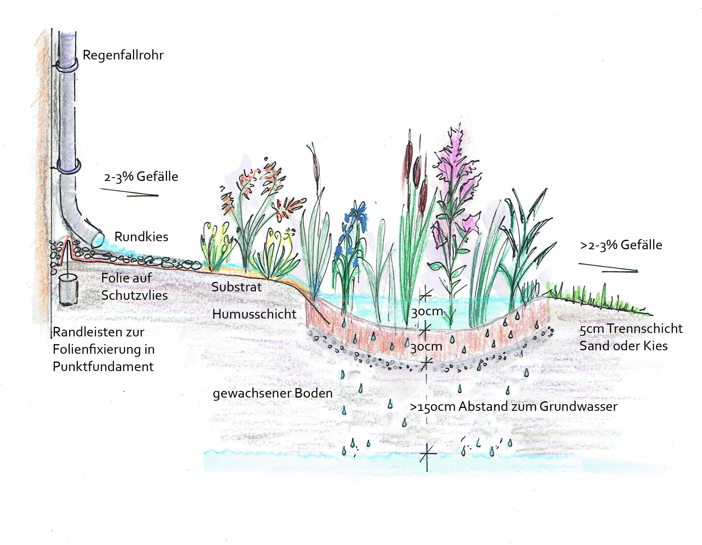 Beispielinhalt (Bild) Handbuch Wasser im Garten