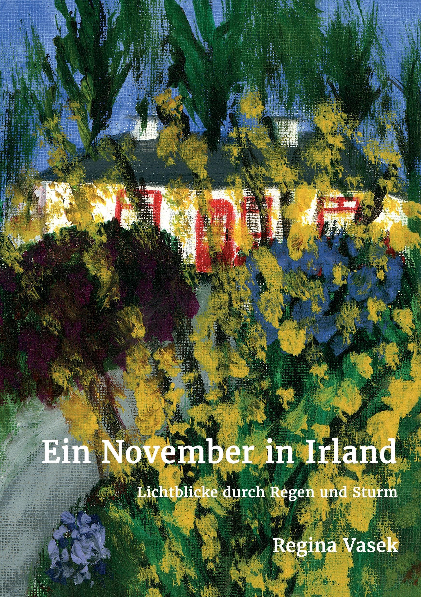 Vorderes Coverbild Ein November in Irland