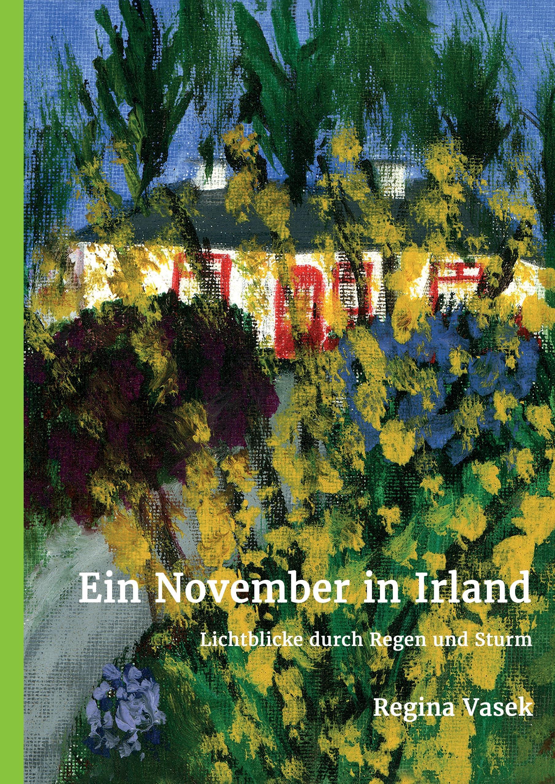 Vorderes Coverbild Ein November in Irland