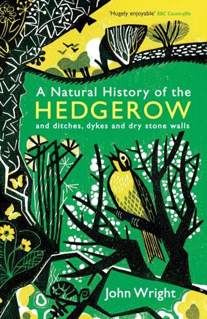 Vorderes Coverbild A Natural History of the Hedgerow