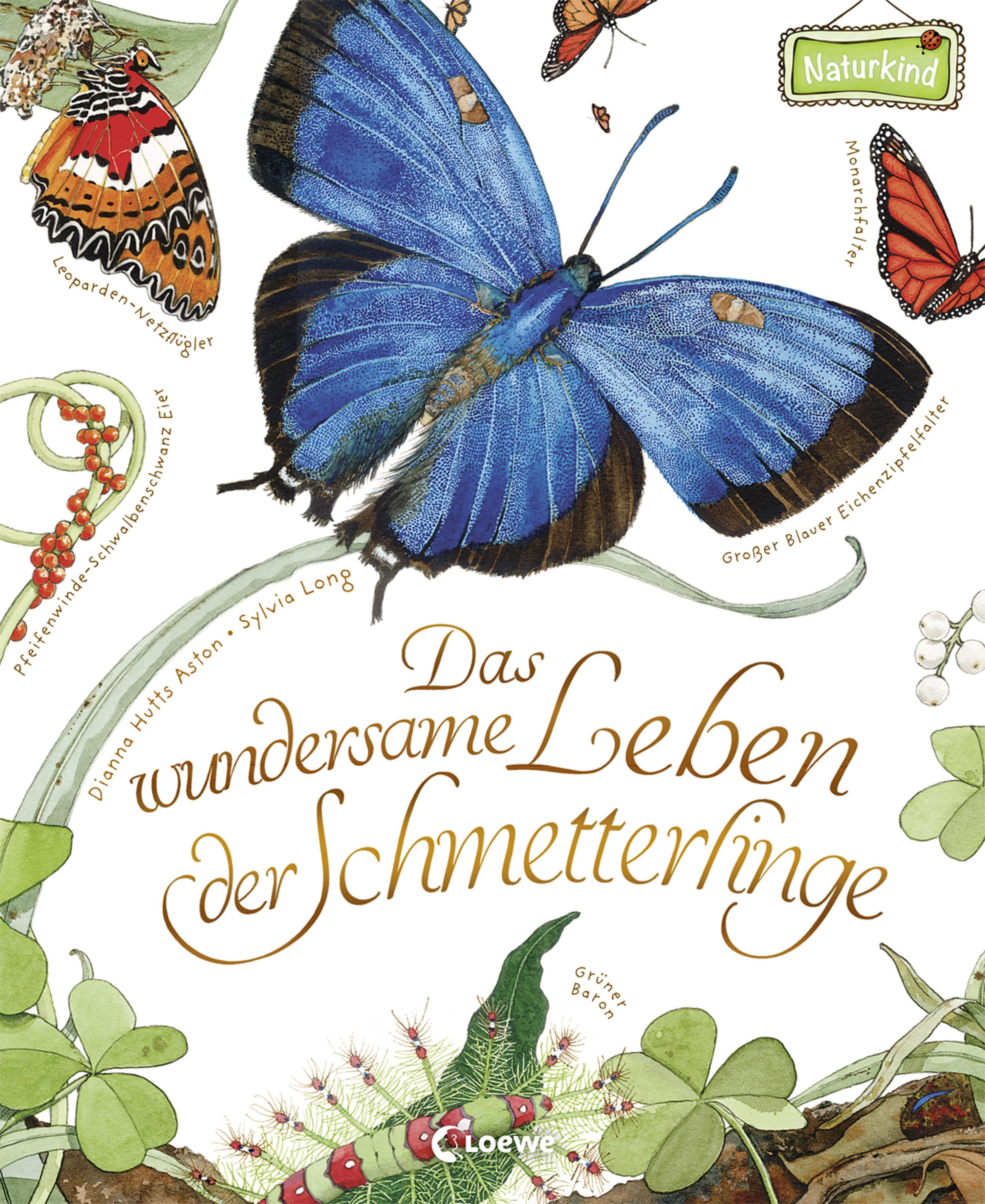 Vorderes Coverbild Das wundersame Leben der Schmetterlinge