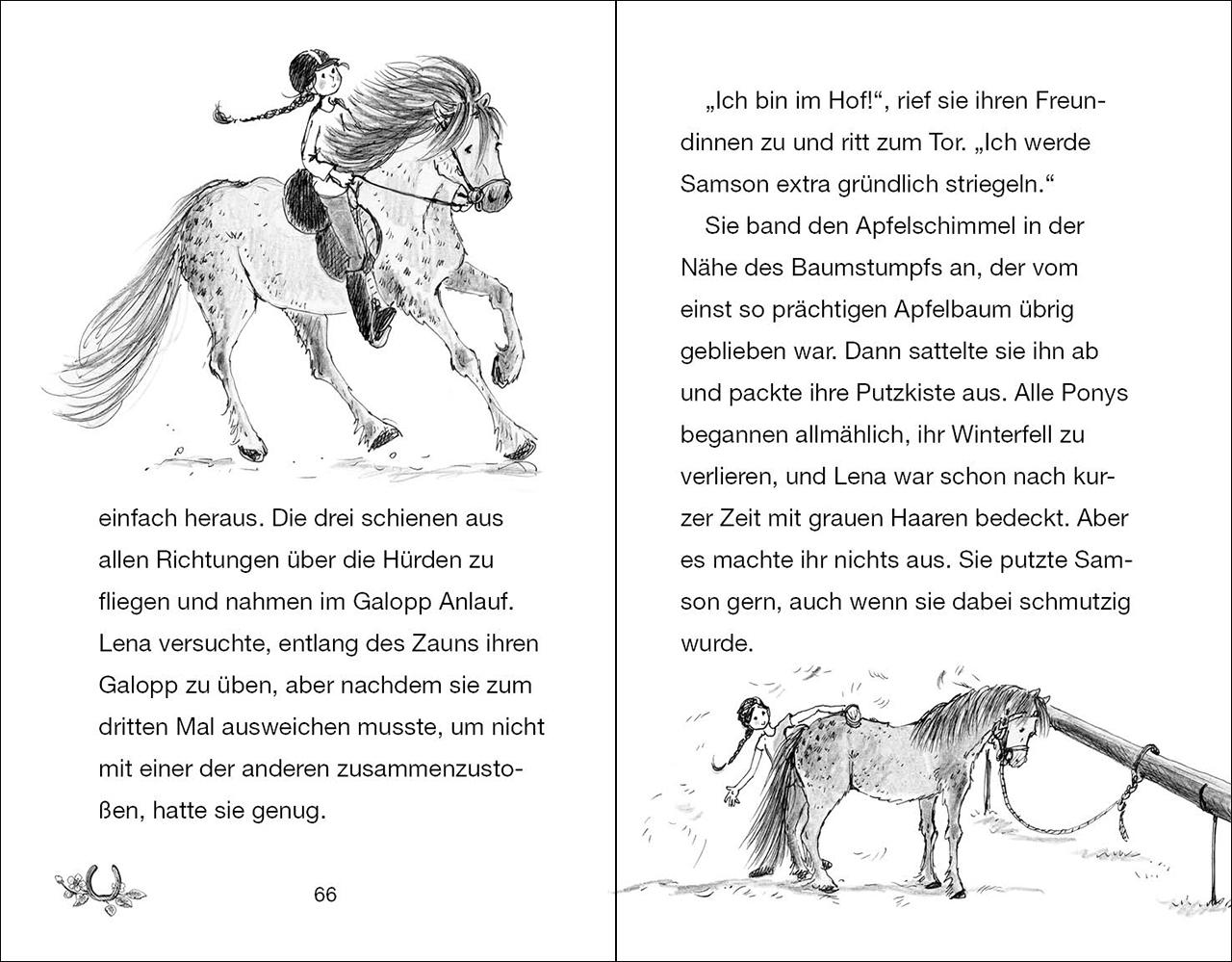 Beispielinhalt (Bild) Ponyhof Apfelblüte - Samson und das große Turnier