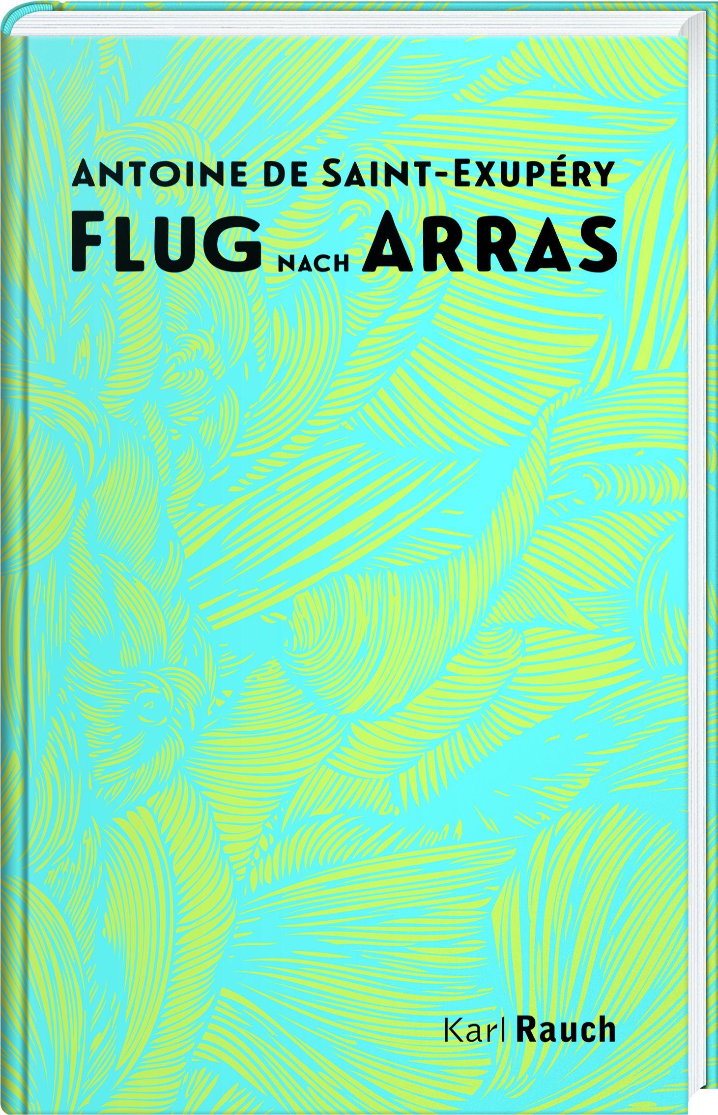 Vorderes Coverbild Flug nach Arras