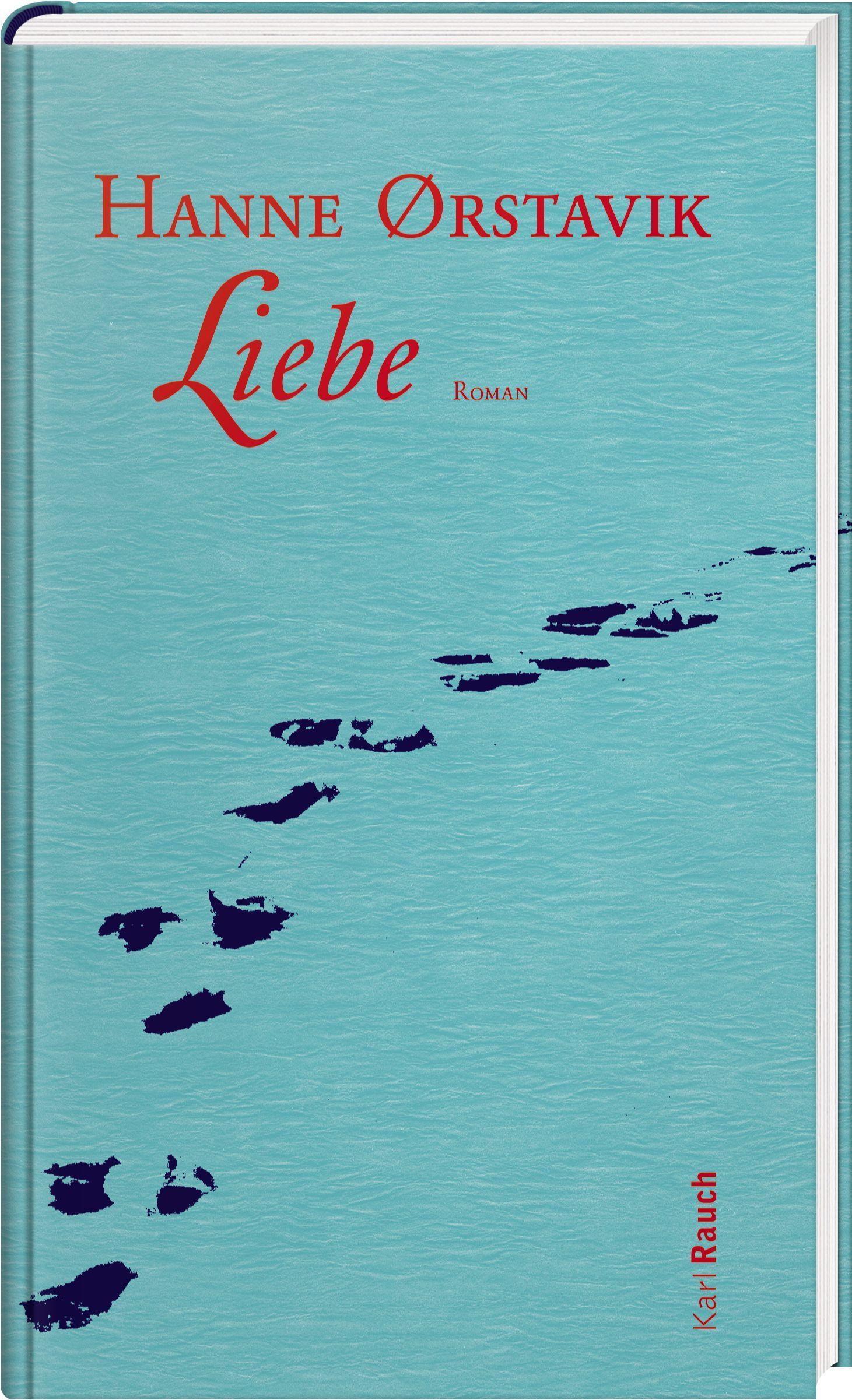 Vorderes Coverbild Liebe