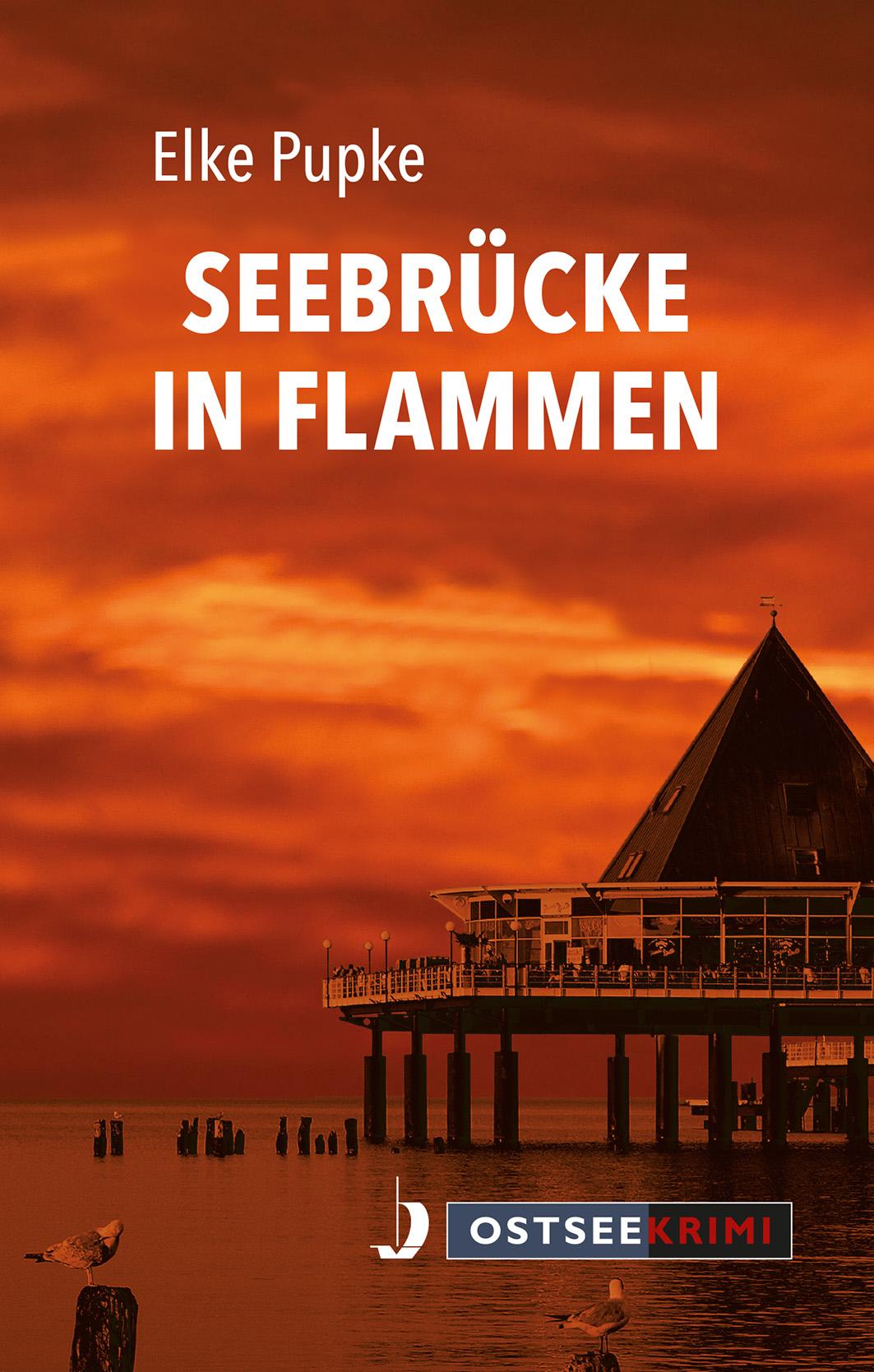 Vorderes Coverbild Seebrücke in Flammen