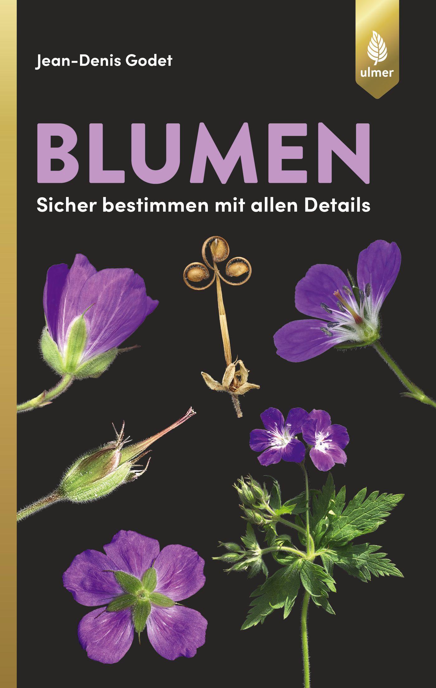 Vorderes Coverbild Blumen