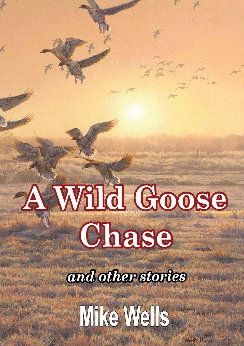 Vorderes Coverbild A Wild Goose Chase