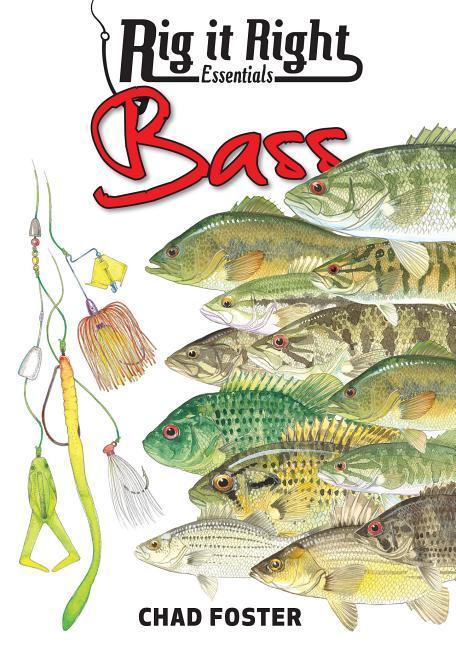 Vorderes Coverbild Rig It Right Essentials Bass